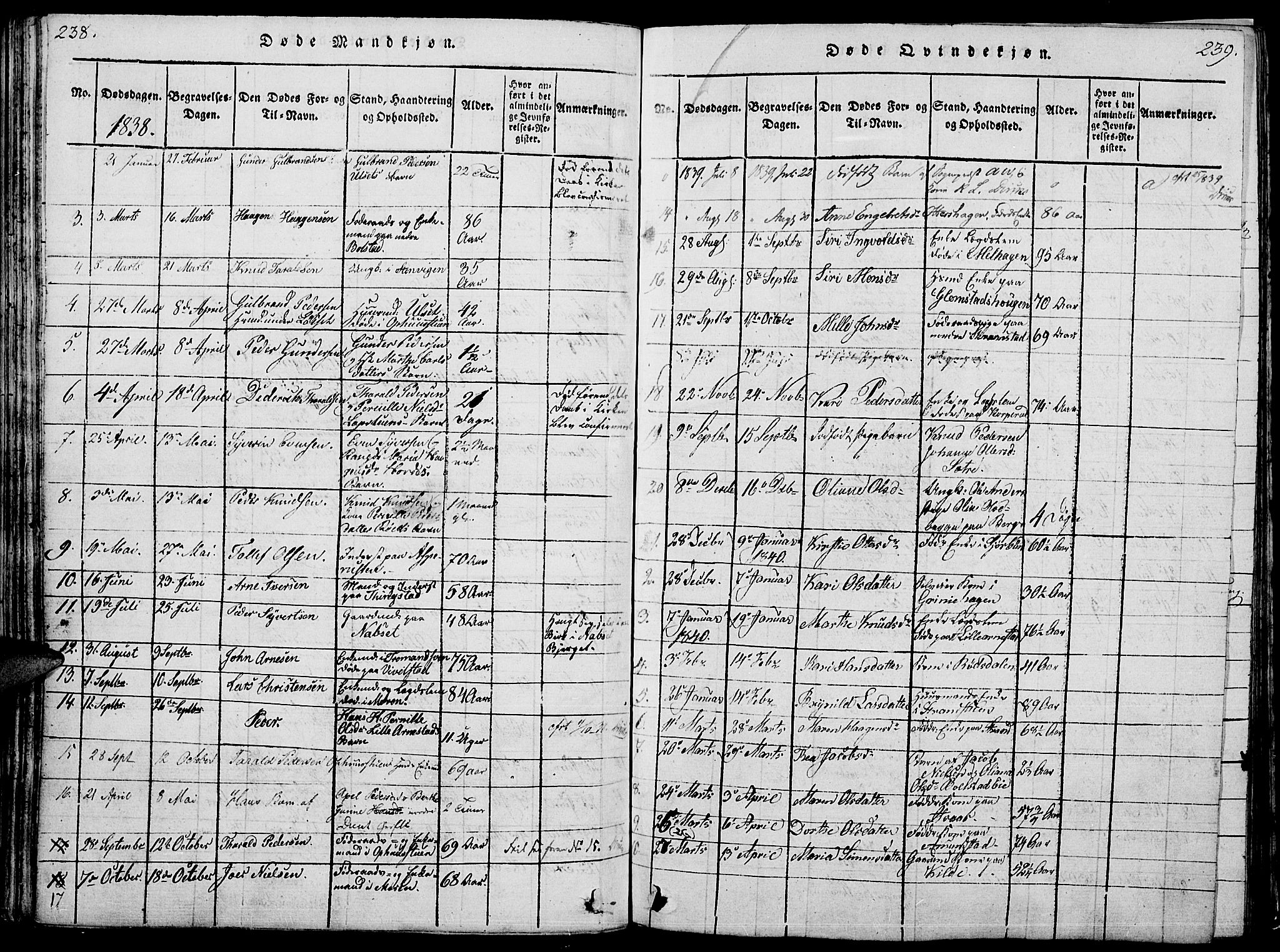 Åmot prestekontor, Hedmark, SAH/PREST-056/H/Ha/Hab/L0001: Parish register (copy) no. 1, 1815-1847, p. 238-239