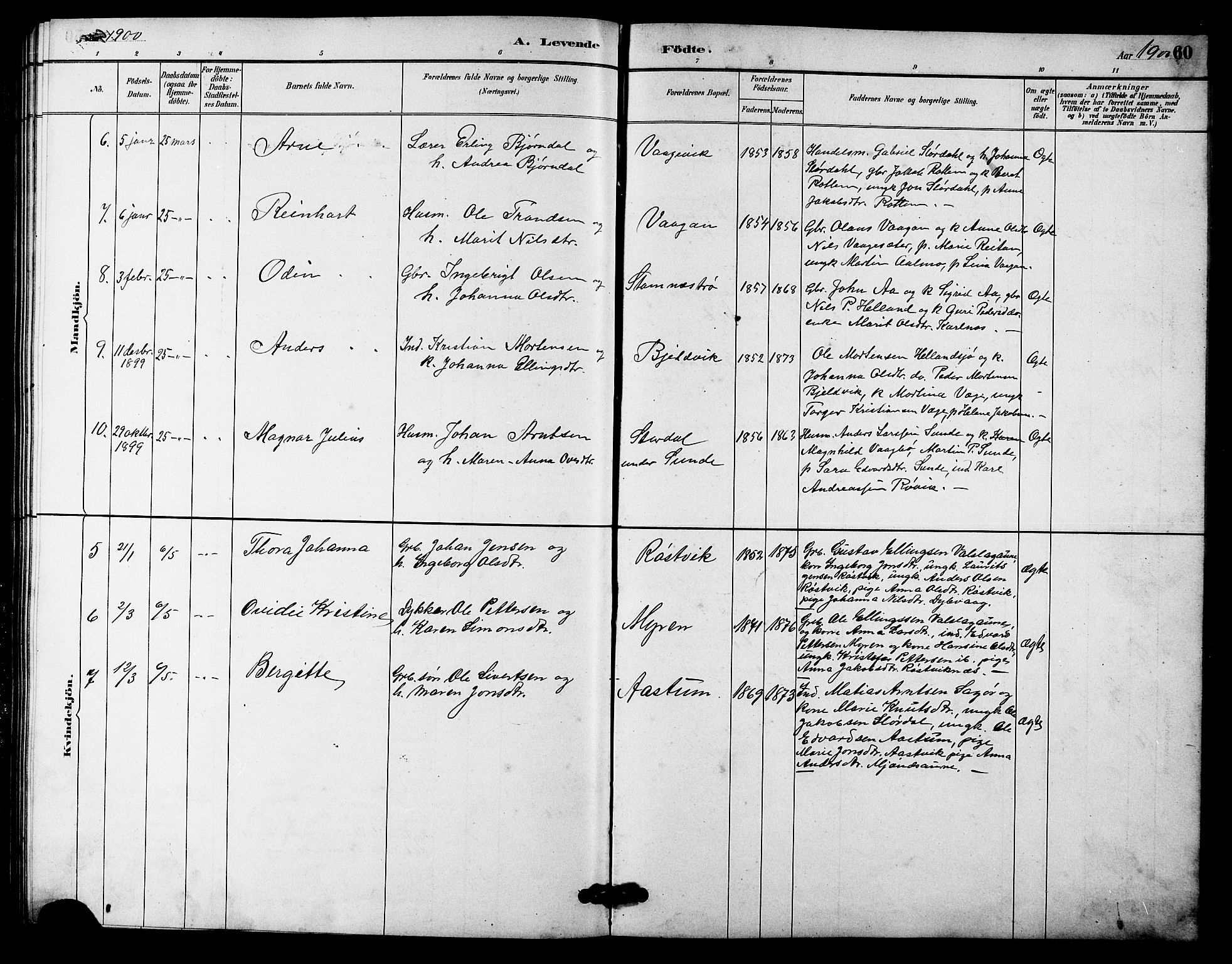 Ministerialprotokoller, klokkerbøker og fødselsregistre - Sør-Trøndelag, AV/SAT-A-1456/633/L0519: Parish register (copy) no. 633C01, 1884-1905, p. 60