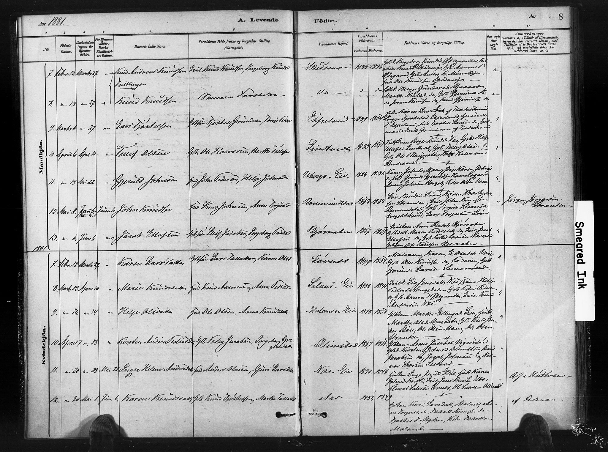 Gjerstad sokneprestkontor, AV/SAK-1111-0014/F/Fa/Fab/L0004: Parish register (official) no. A 4, 1879-1890, p. 8