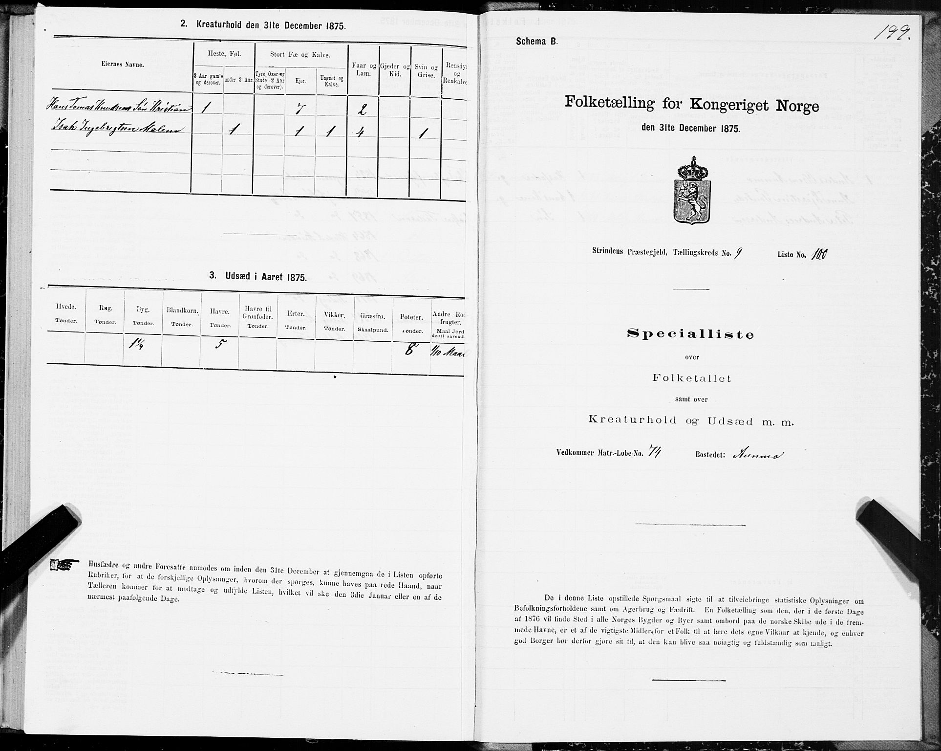 SAT, 1875 census for 1660P Strinda, 1875, p. 5199