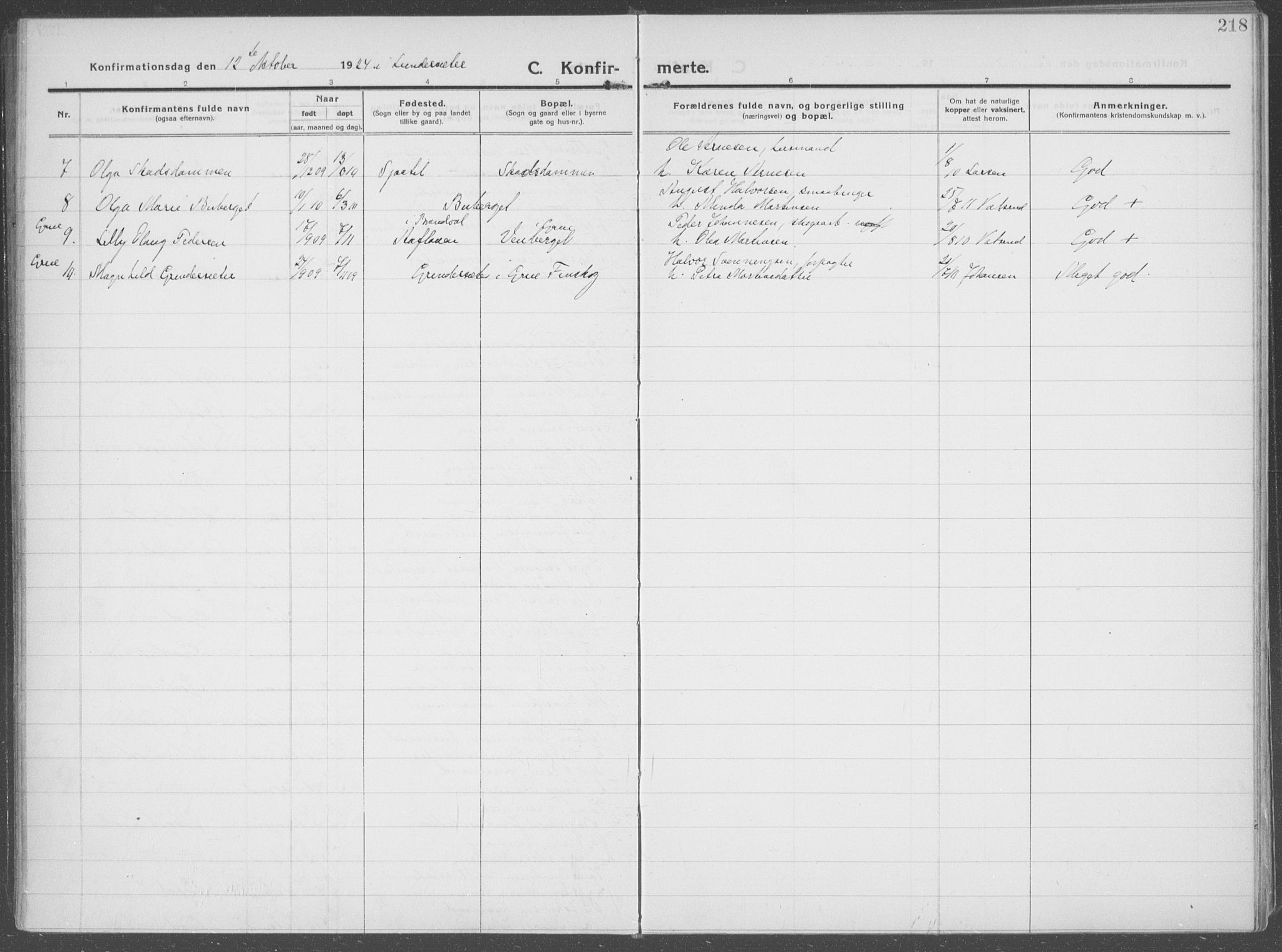 Brandval prestekontor, AV/SAH-PREST-034/H/Ha/Haa/L0004: Parish register (official) no. 4, 1910-1924, p. 218