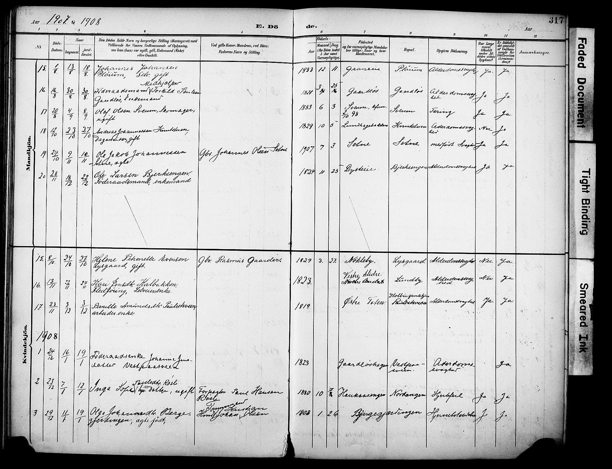 Vestre Toten prestekontor, SAH/PREST-108/H/Ha/Haa/L0013: Parish register (official) no. 13, 1895-1911, p. 317