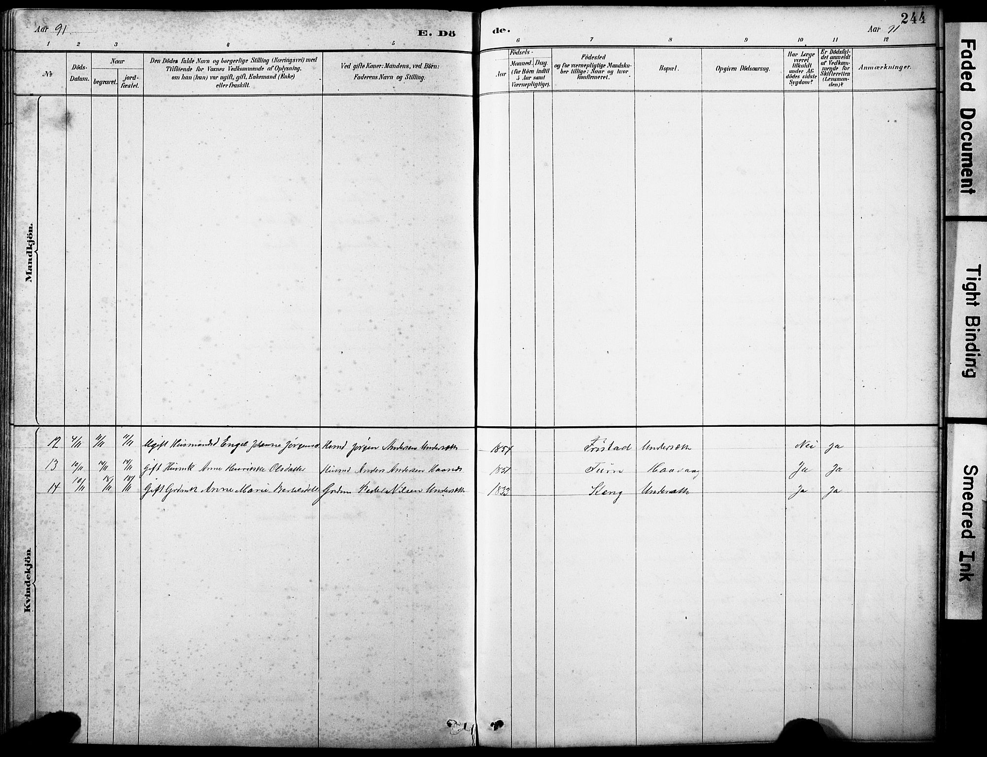 Askvoll sokneprestembete, AV/SAB-A-79501/H/Hab/Haba/L0003: Parish register (copy) no. A 3, 1886-1928, p. 244