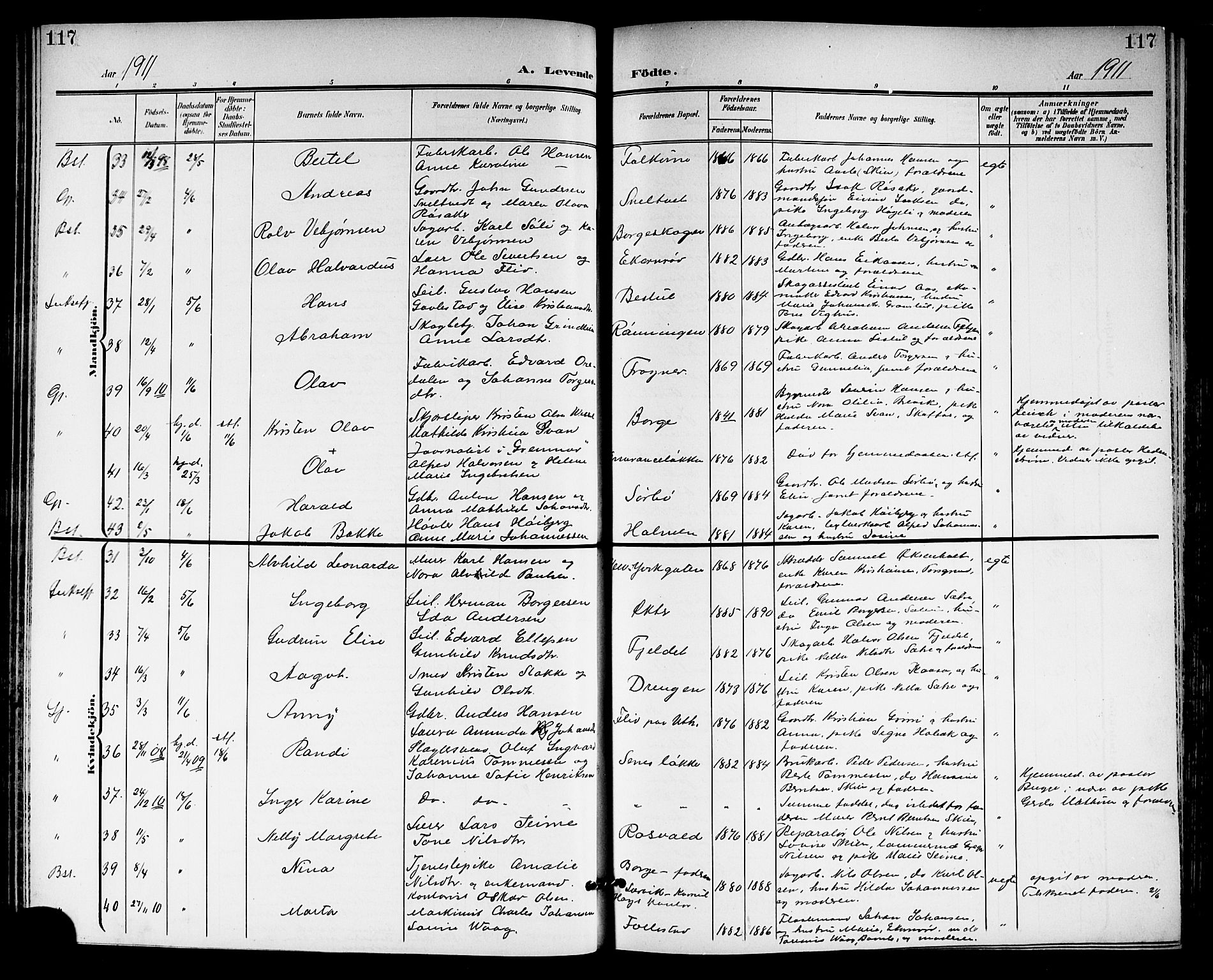 Gjerpen kirkebøker, SAKO/A-265/G/Ga/L0003: Parish register (copy) no. I 3, 1901-1919, p. 117