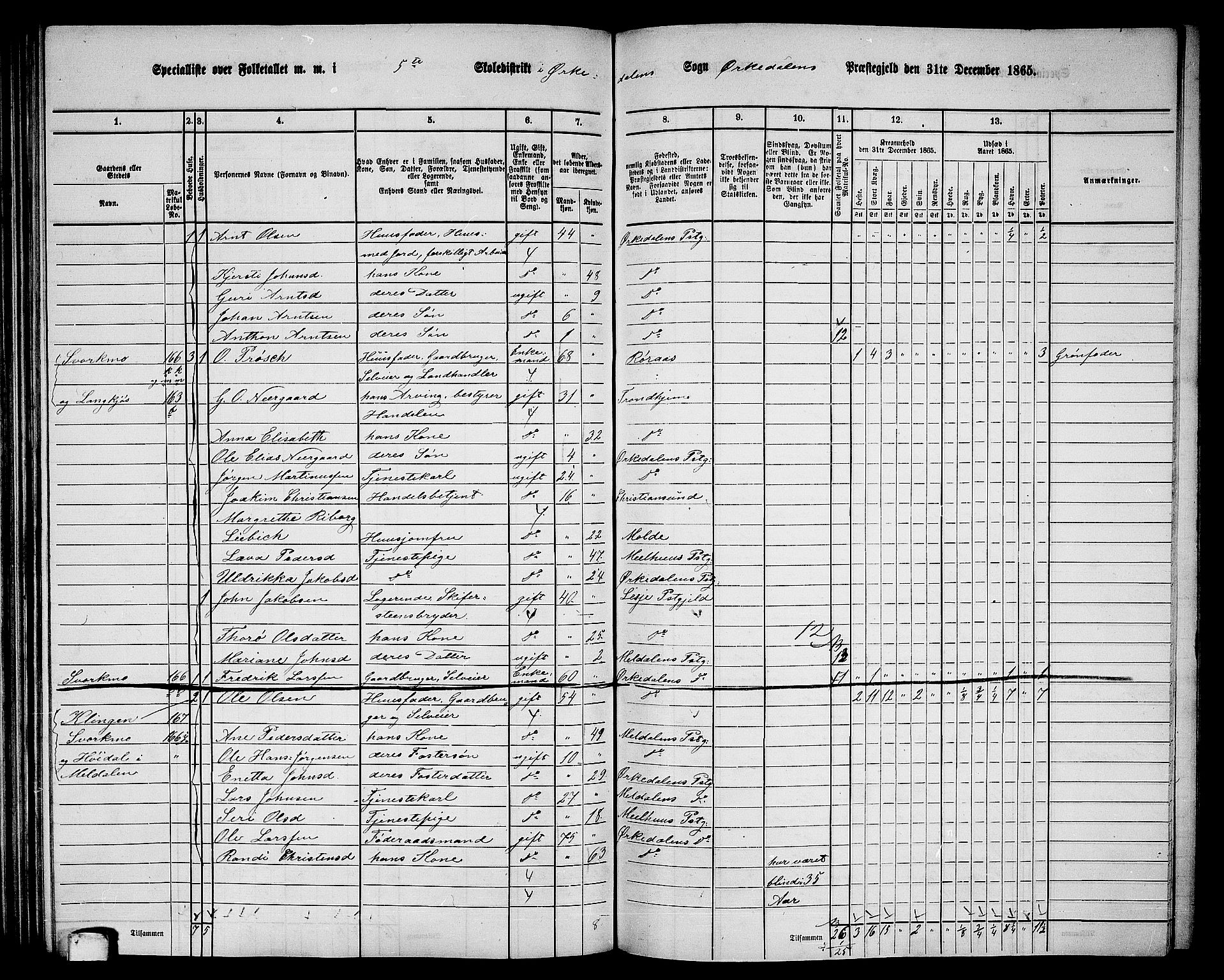 RA, 1865 census for Orkdal, 1865, p. 156