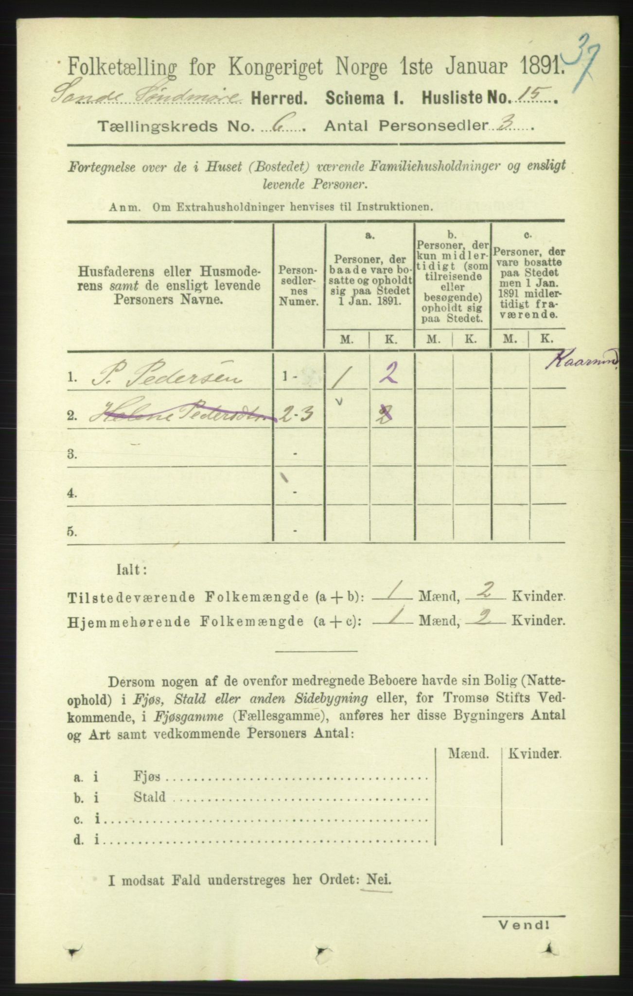 RA, 1891 census for 1514 Sande, 1891, p. 1005