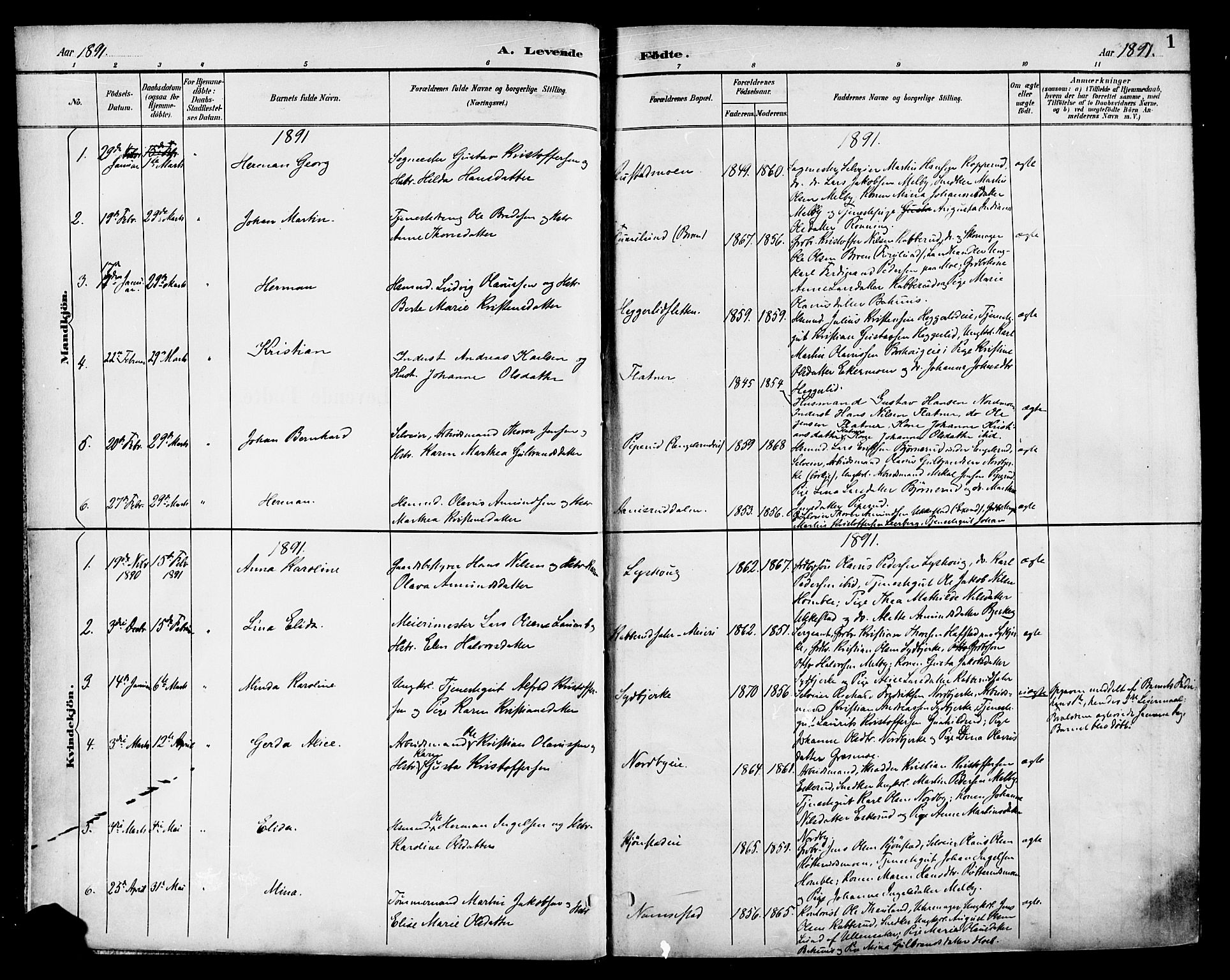 Nannestad prestekontor Kirkebøker, SAO/A-10414a/F/Fa/L0015: Parish register (official) no. I 15, 1891-1905, p. 1