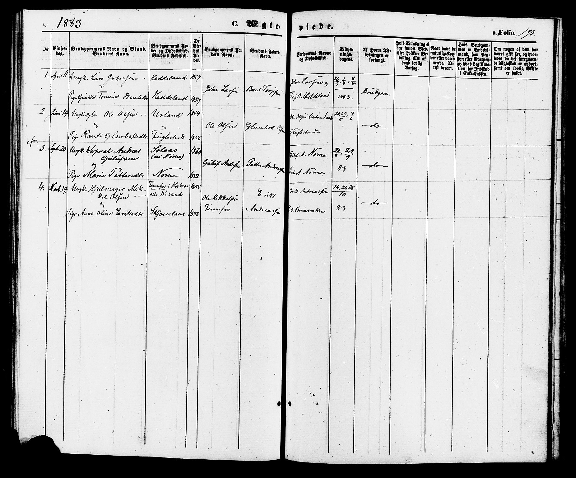 Holum sokneprestkontor, AV/SAK-1111-0022/F/Fa/Fac/L0003: Parish register (official) no. A 3, 1860-1883, p. 193