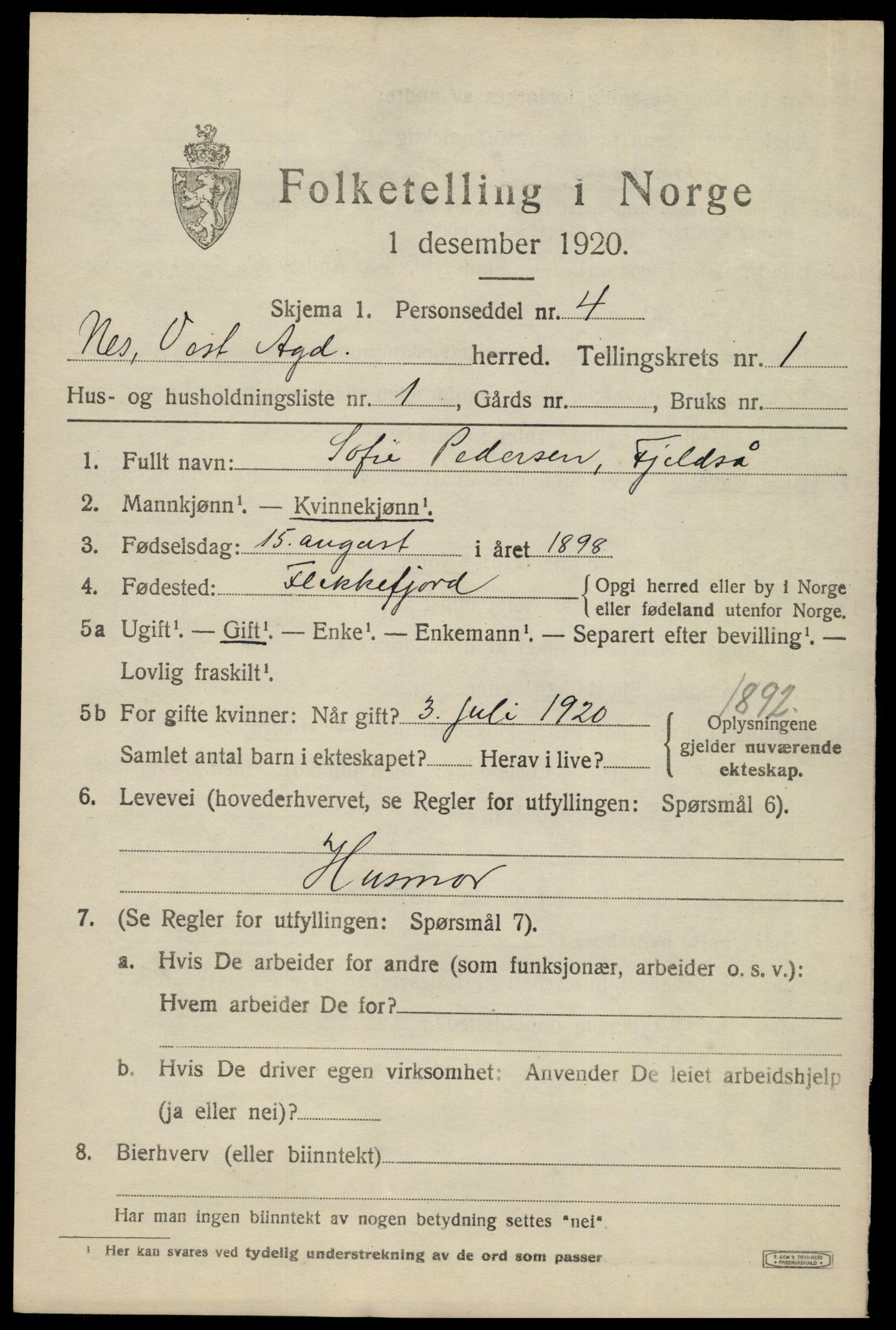 SAK, 1920 census for Nes (V-A), 1920, p. 1044