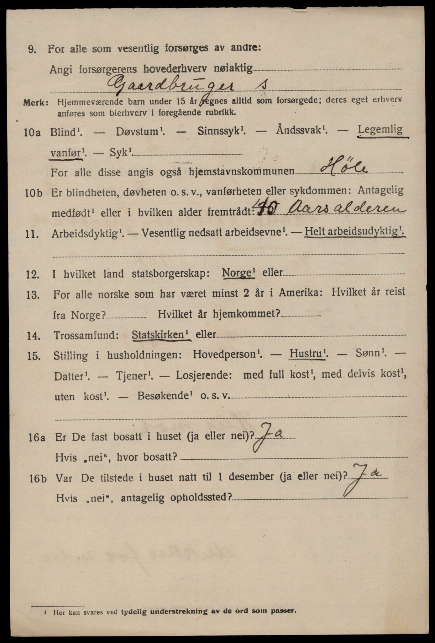 SAST, 1920 census for Høle, 1920, p. 1824