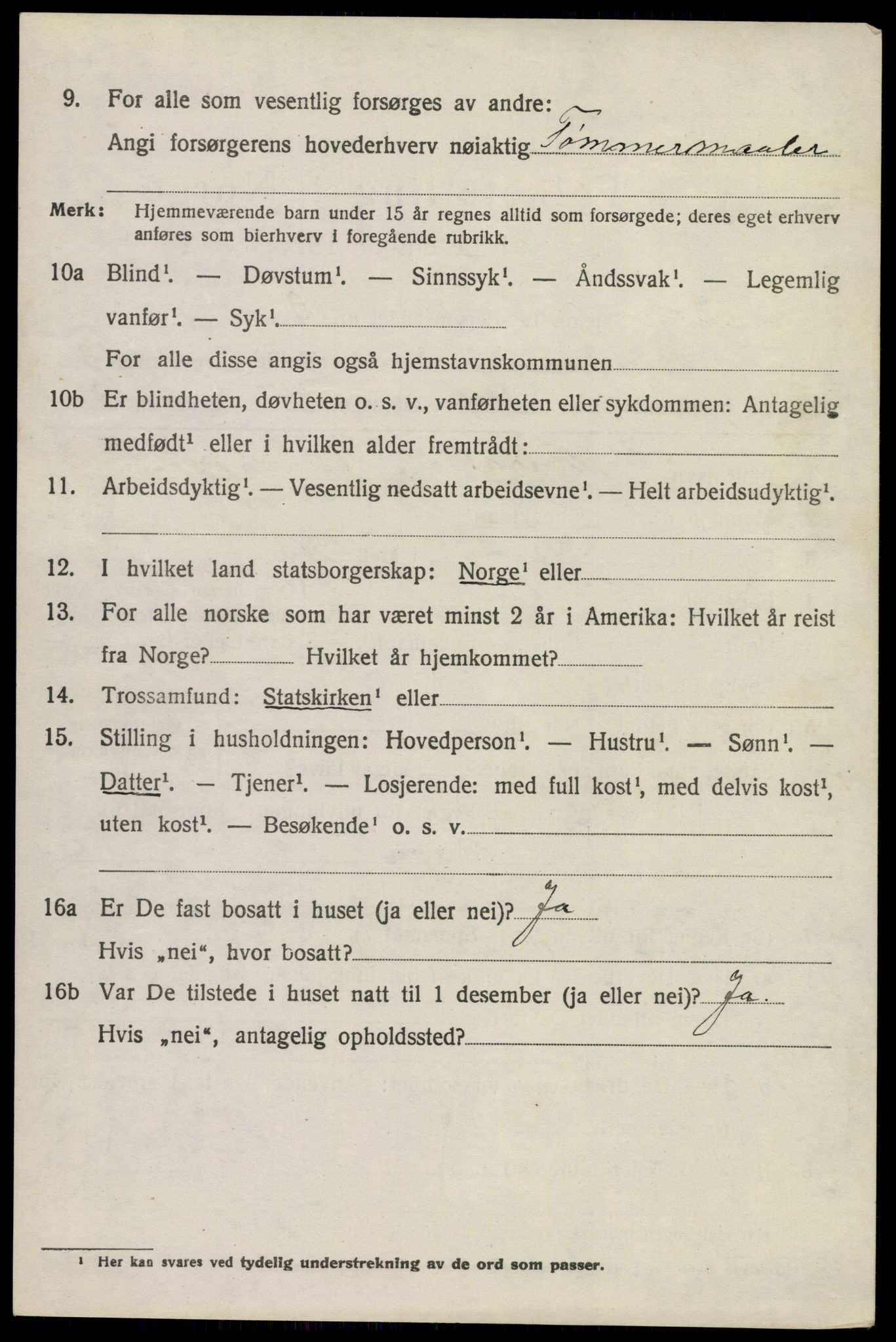 SAKO, 1920 census for Brunlanes, 1920, p. 11338