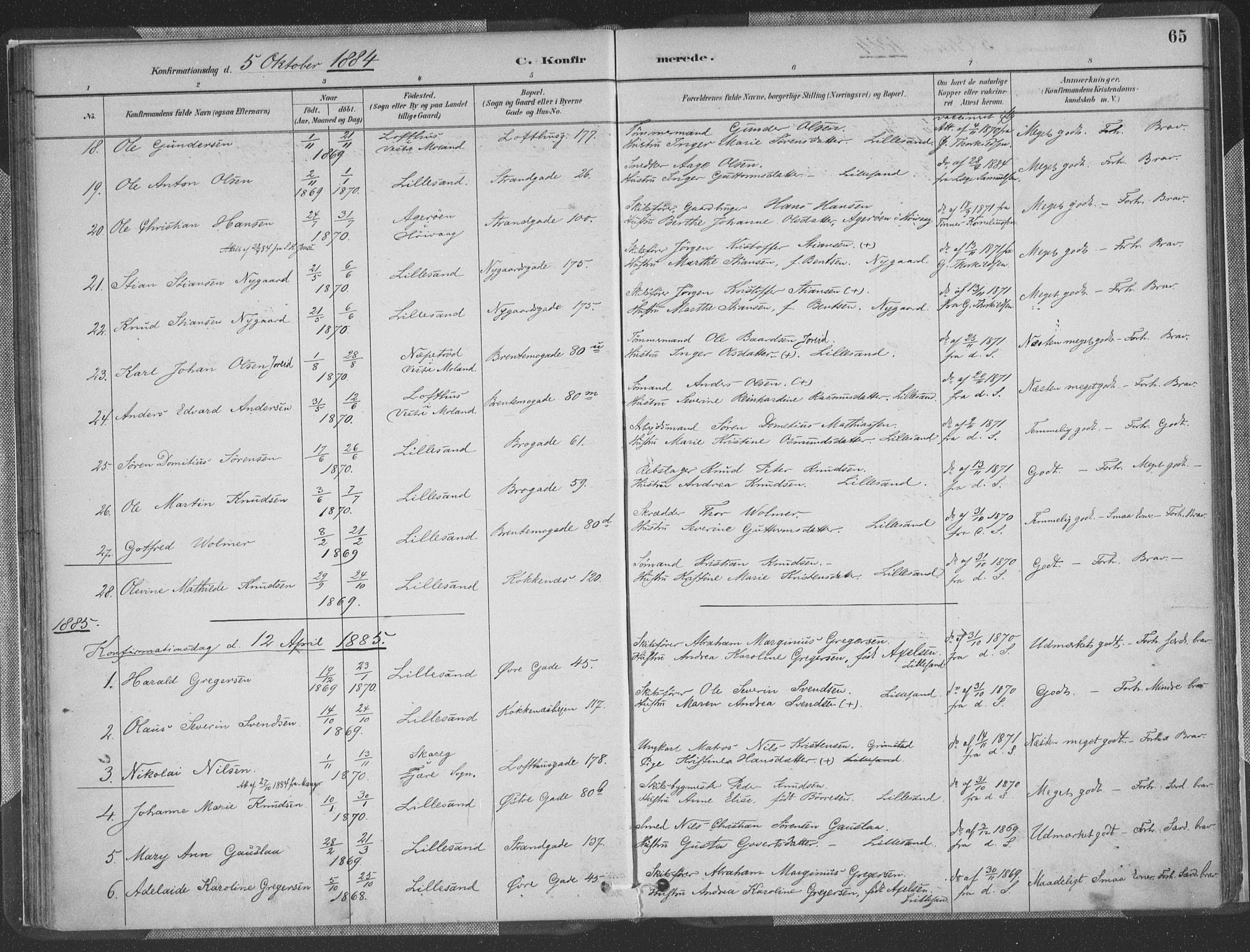 Vestre Moland sokneprestkontor, SAK/1111-0046/F/Fa/Faa/L0001: Parish register (official) no. A 1, 1884-1899, p. 65