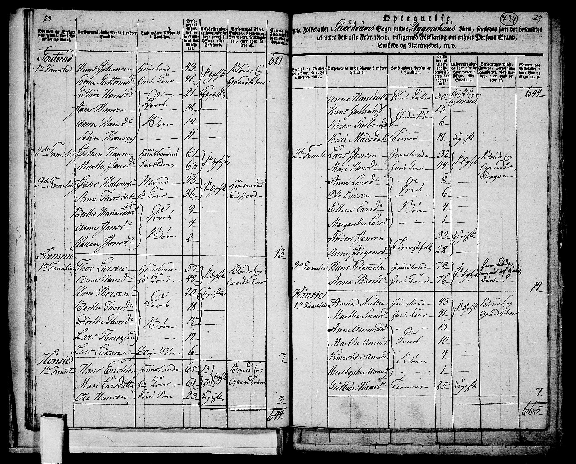 RA, 1801 census for 0234P Gjerdrum, 1801, p. 723b-724a