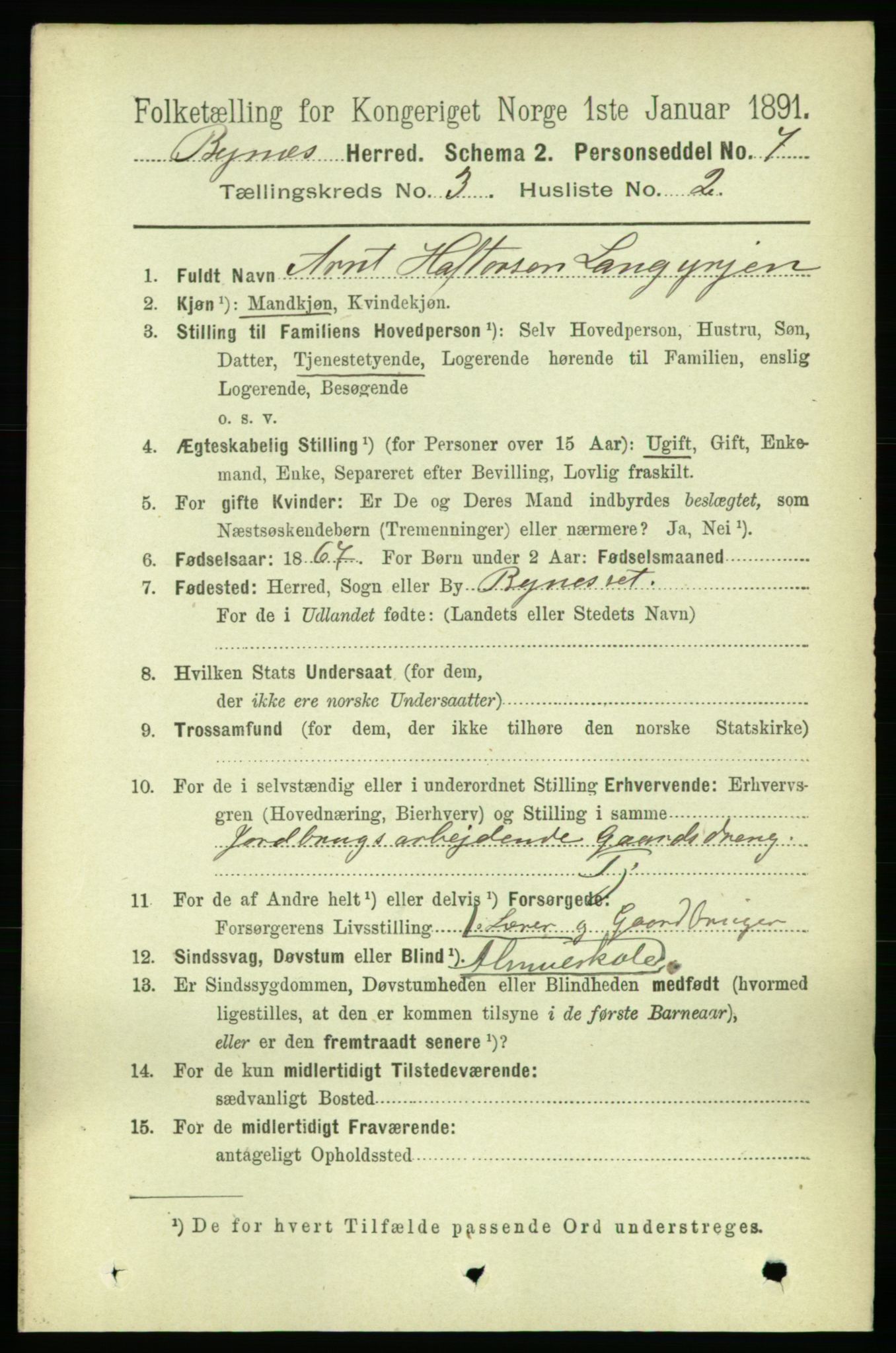 RA, 1891 census for 1655 Byneset, 1891, p. 1299