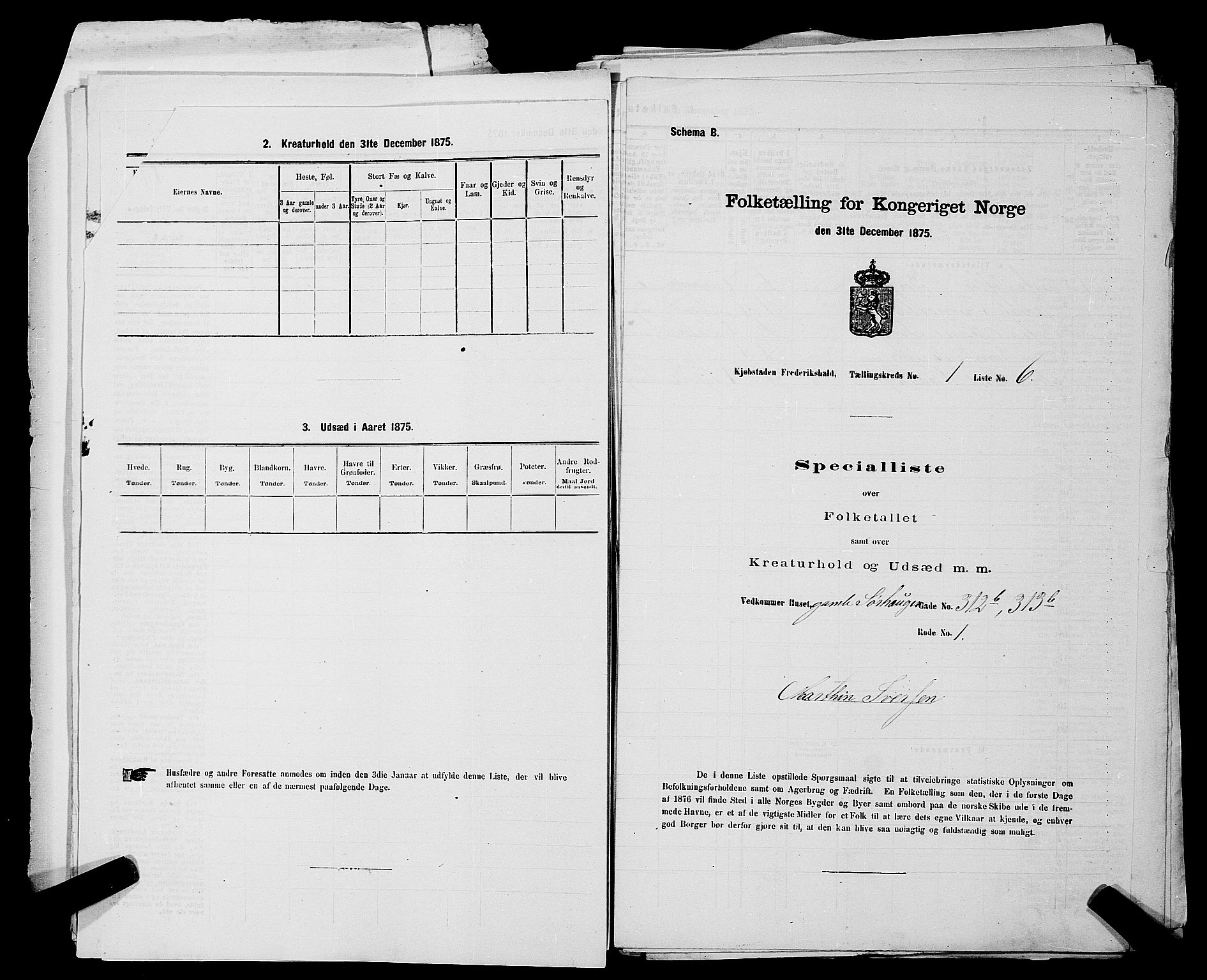 RA, 1875 census for 0101P Fredrikshald, 1875, p. 23