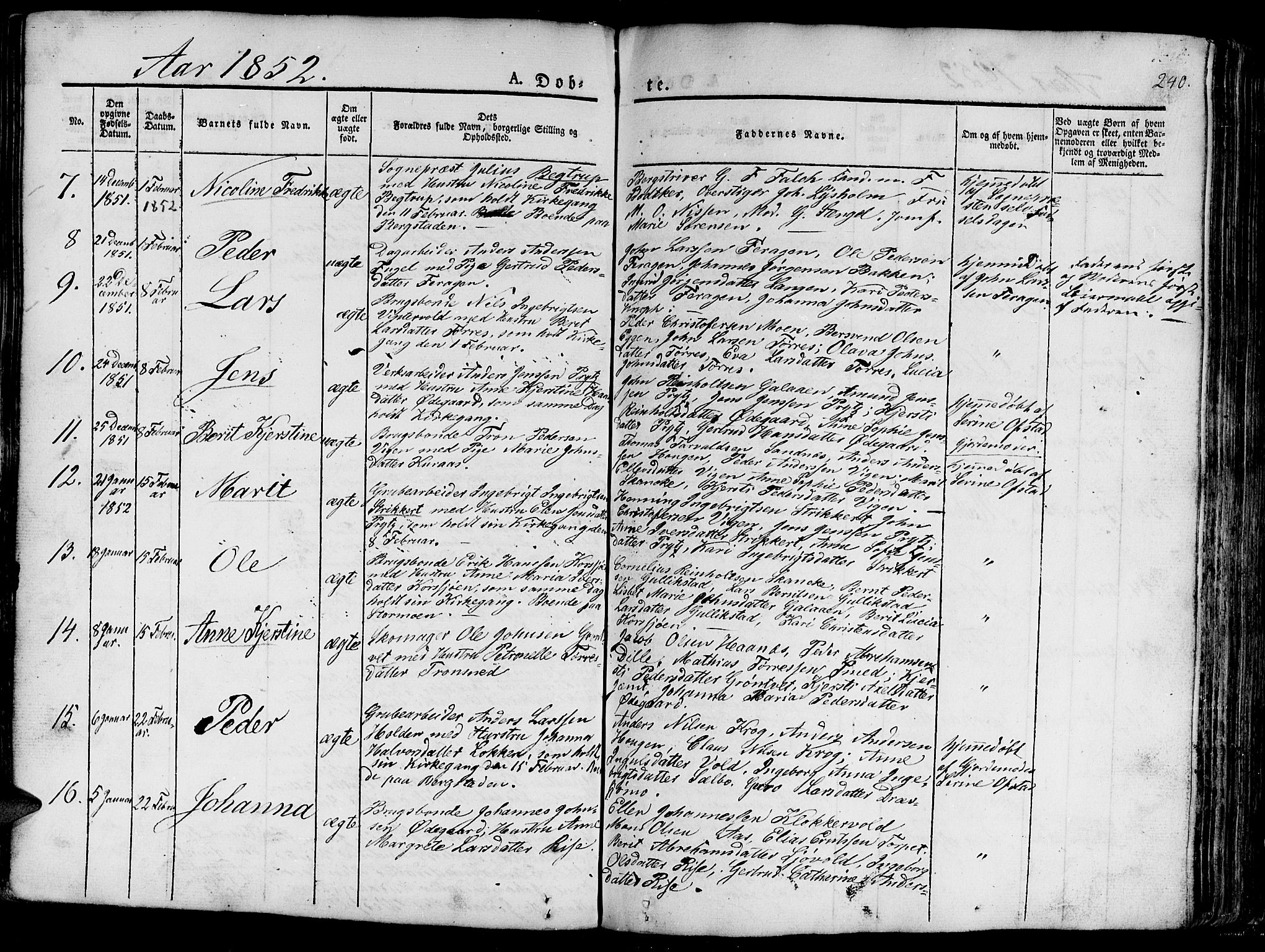Ministerialprotokoller, klokkerbøker og fødselsregistre - Sør-Trøndelag, SAT/A-1456/681/L0938: Parish register (copy) no. 681C02, 1829-1879, p. 240