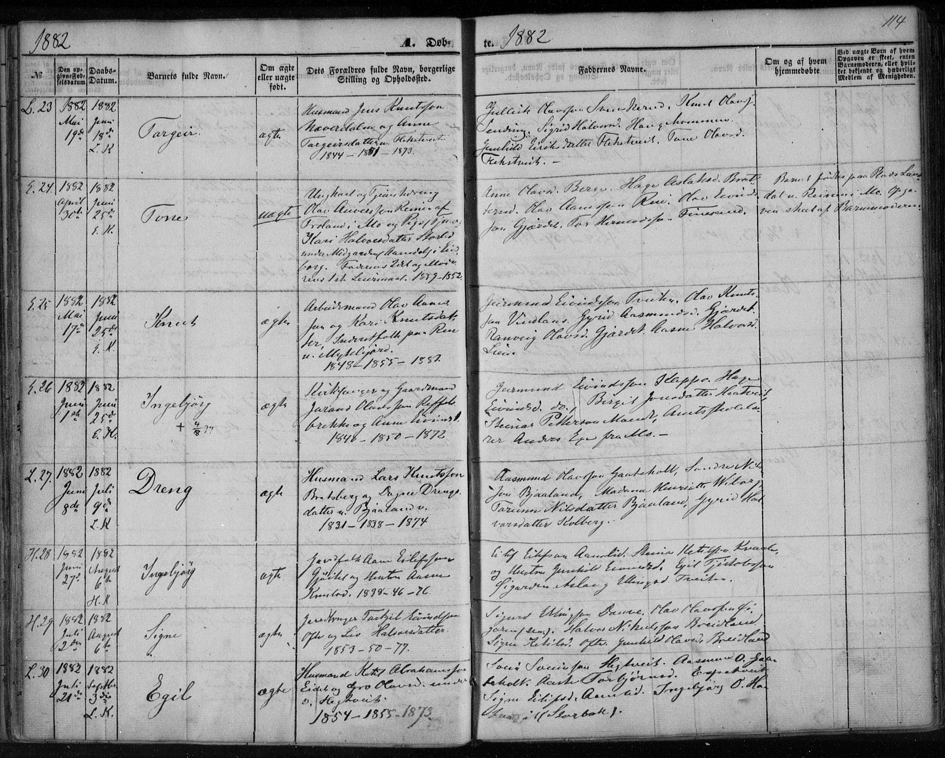 Lårdal kirkebøker, SAKO/A-284/F/Fa/L0006: Parish register (official) no. I 6, 1861-1886, p. 114