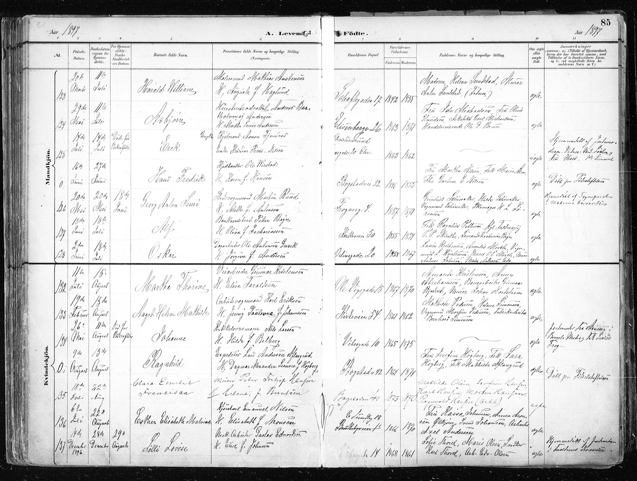 Uranienborg prestekontor Kirkebøker, AV/SAO-A-10877/F/Fa/L0005: Parish register (official) no. 5, 1895-1907, p. 85