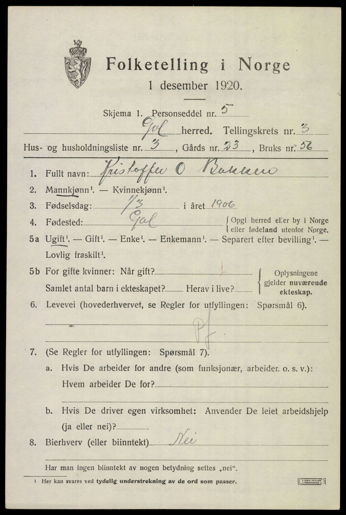 SAKO, 1920 census for Gol, 1920, p. 2218