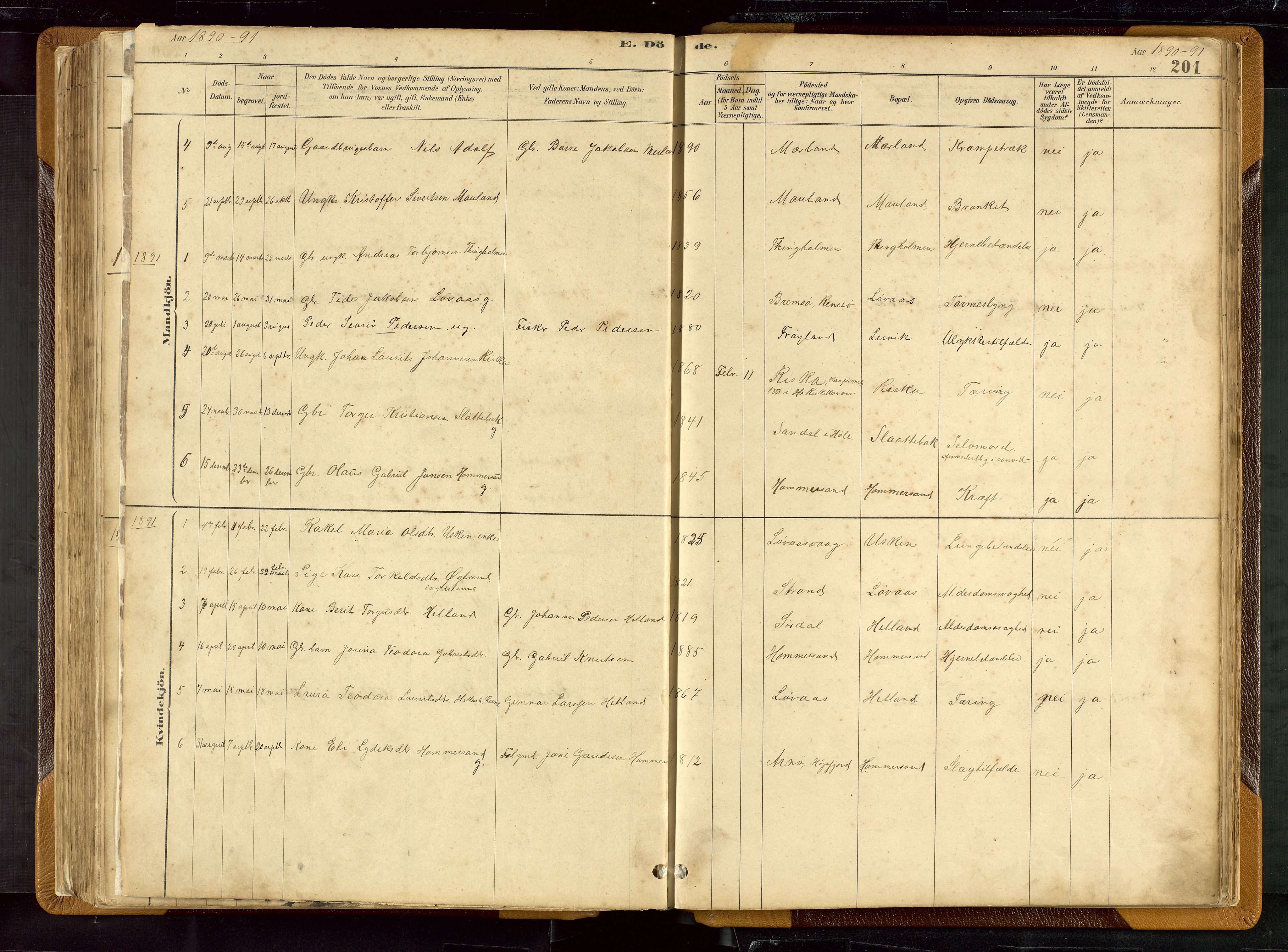 Hetland sokneprestkontor, SAST/A-101826/30/30BB/L0007: Parish register (copy) no. B 7, 1878-1910, p. 201
