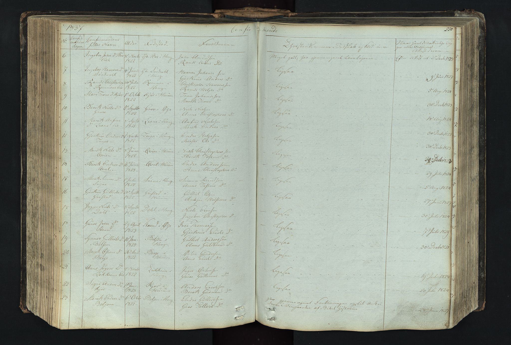 Vang prestekontor, Valdres, SAH/PREST-140/H/Hb/L0004: Parish register (copy) no. 4, 1835-1892, p. 220
