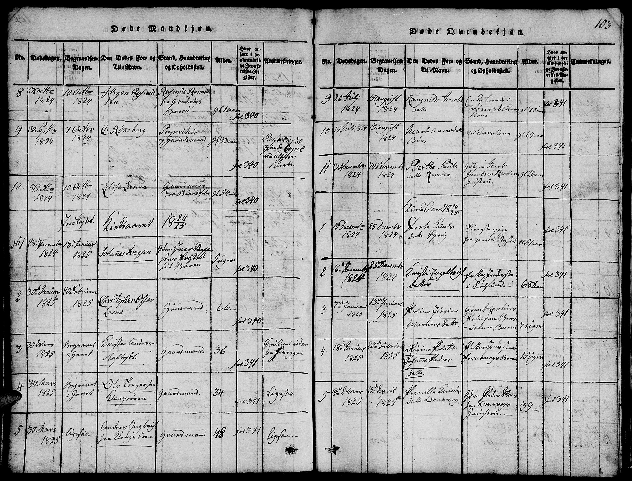 Ministerialprotokoller, klokkerbøker og fødselsregistre - Møre og Romsdal, AV/SAT-A-1454/507/L0078: Parish register (copy) no. 507C01, 1816-1840, p. 103