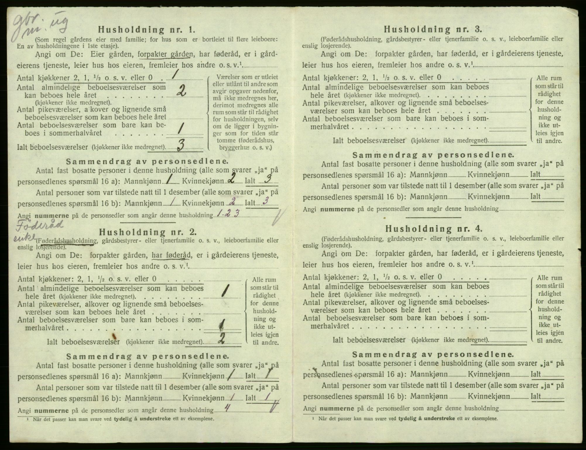 SAB, 1920 census for Eidfjord, 1920, p. 291