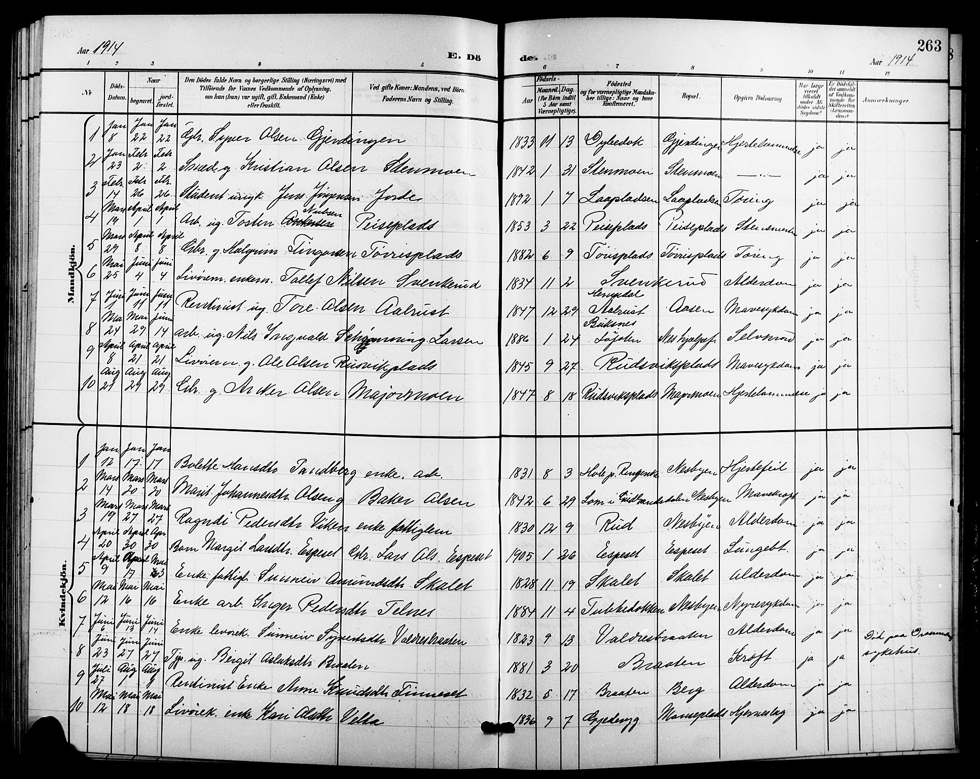 Nes kirkebøker, SAKO/A-236/G/Ga/L0004: Parish register (copy) no. I 4, 1900-1925, p. 263