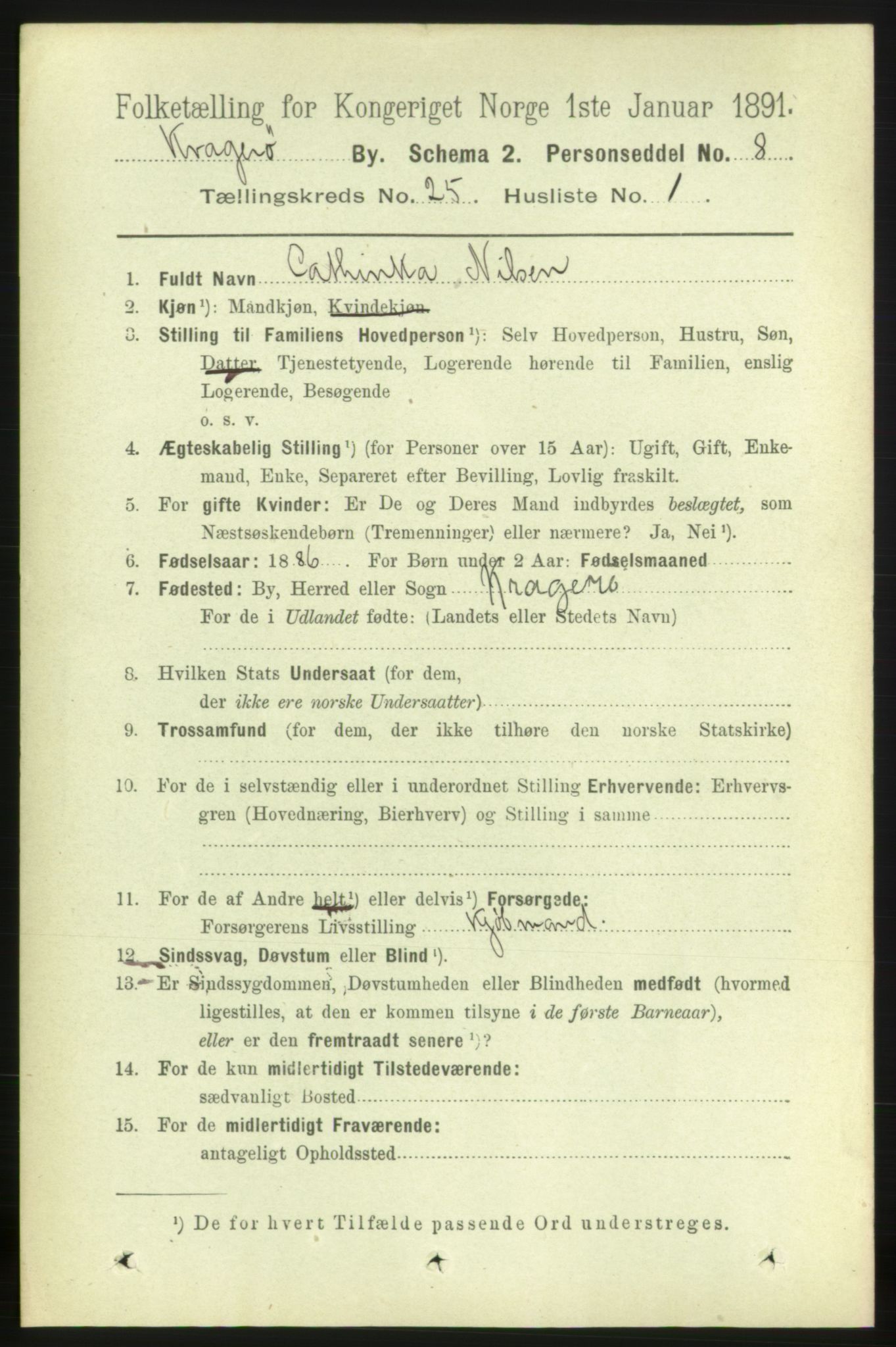 RA, 1891 census for 0801 Kragerø, 1891, p. 5091