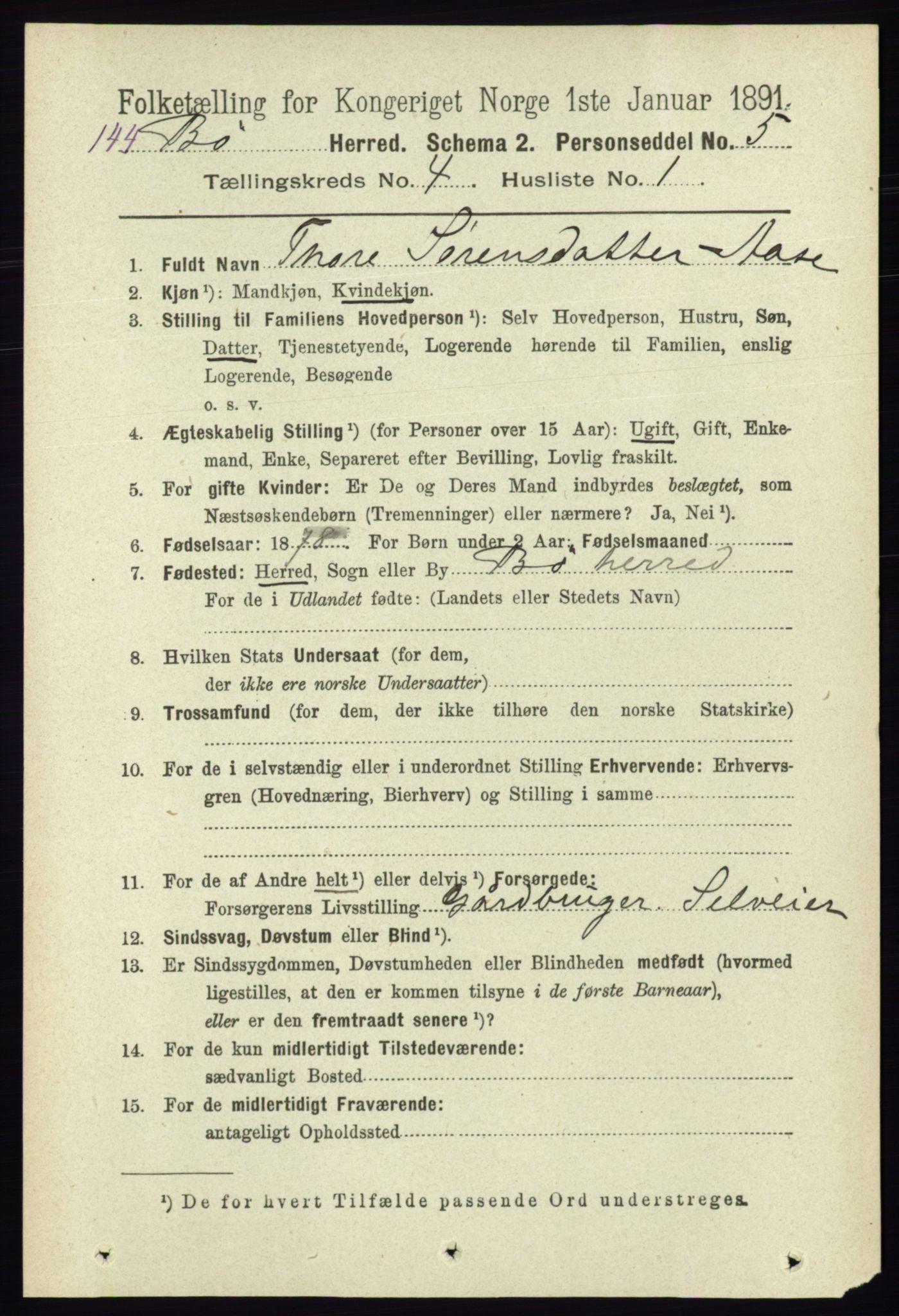 RA, 1891 census for 0821 Bø, 1891, p. 1228