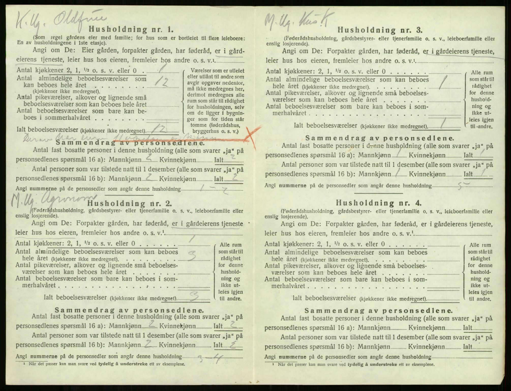 SAKO, 1920 census for Borre, 1920, p. 801