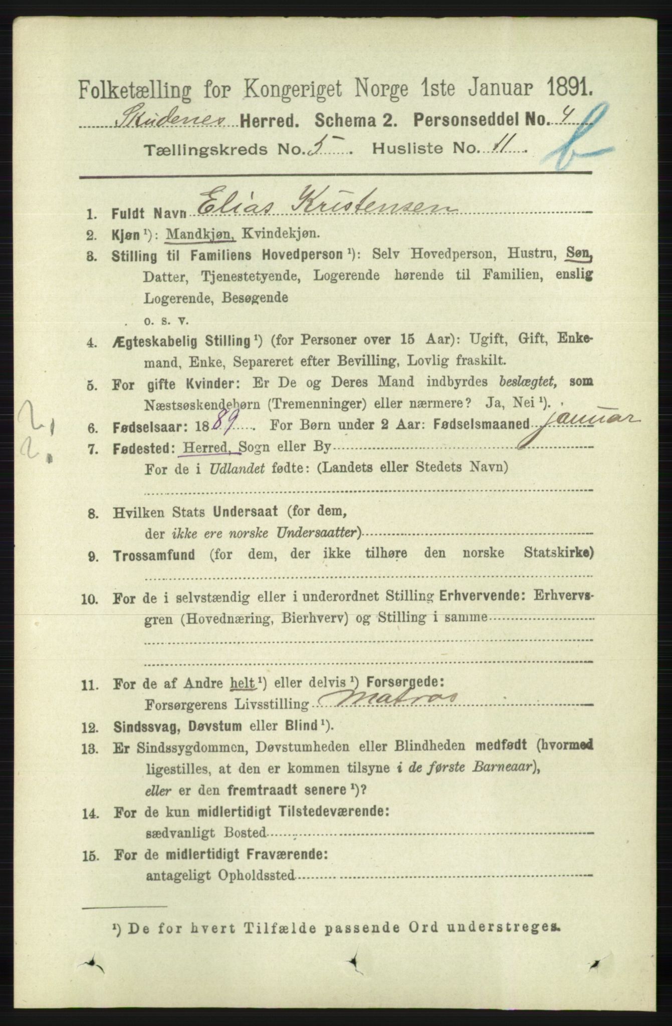 RA, 1891 census for 1150 Skudenes, 1891, p. 5290