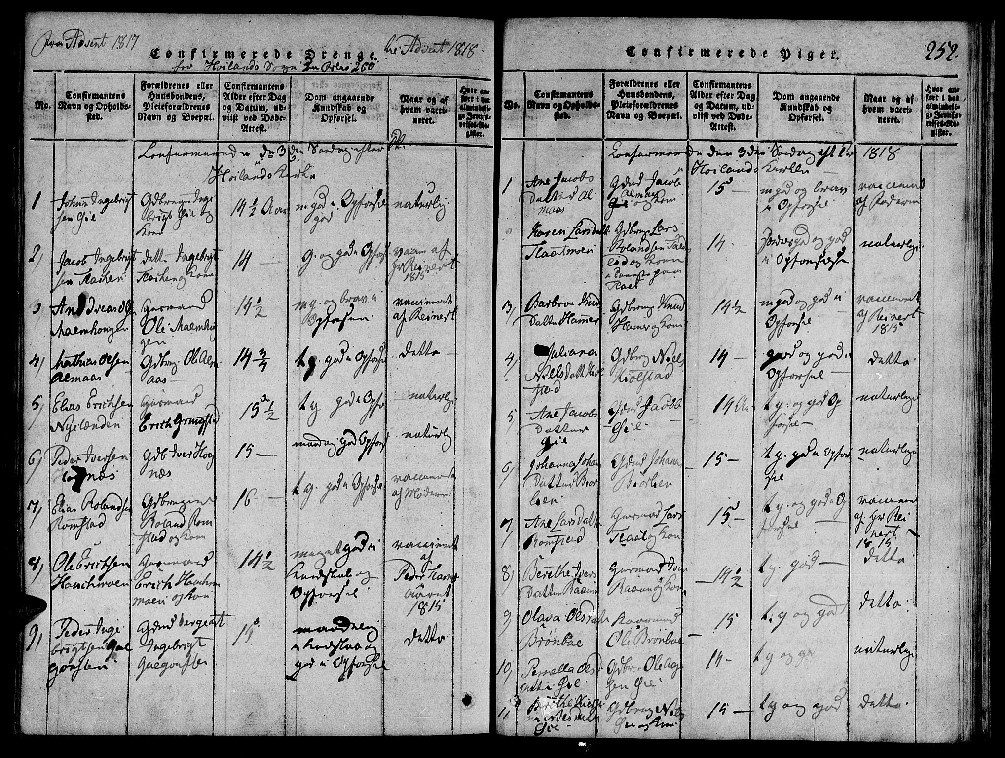 Ministerialprotokoller, klokkerbøker og fødselsregistre - Nord-Trøndelag, SAT/A-1458/764/L0546: Parish register (official) no. 764A06 /3, 1817-1821, p. 252