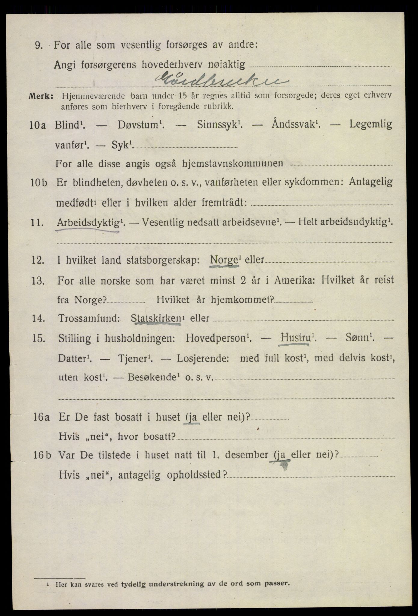 SAKO, 1920 census for Stokke, 1920, p. 9295