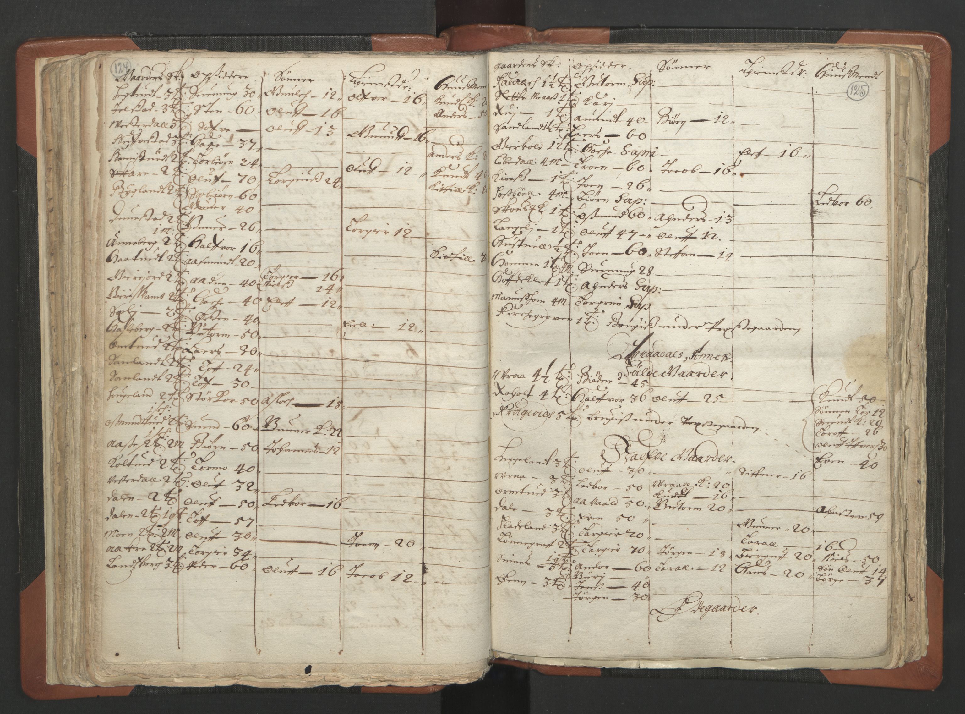 RA, Vicar's Census 1664-1666, no. 12: Øvre Telemark deanery, Nedre Telemark deanery and Bamble deanery, 1664-1666, p. 124-125