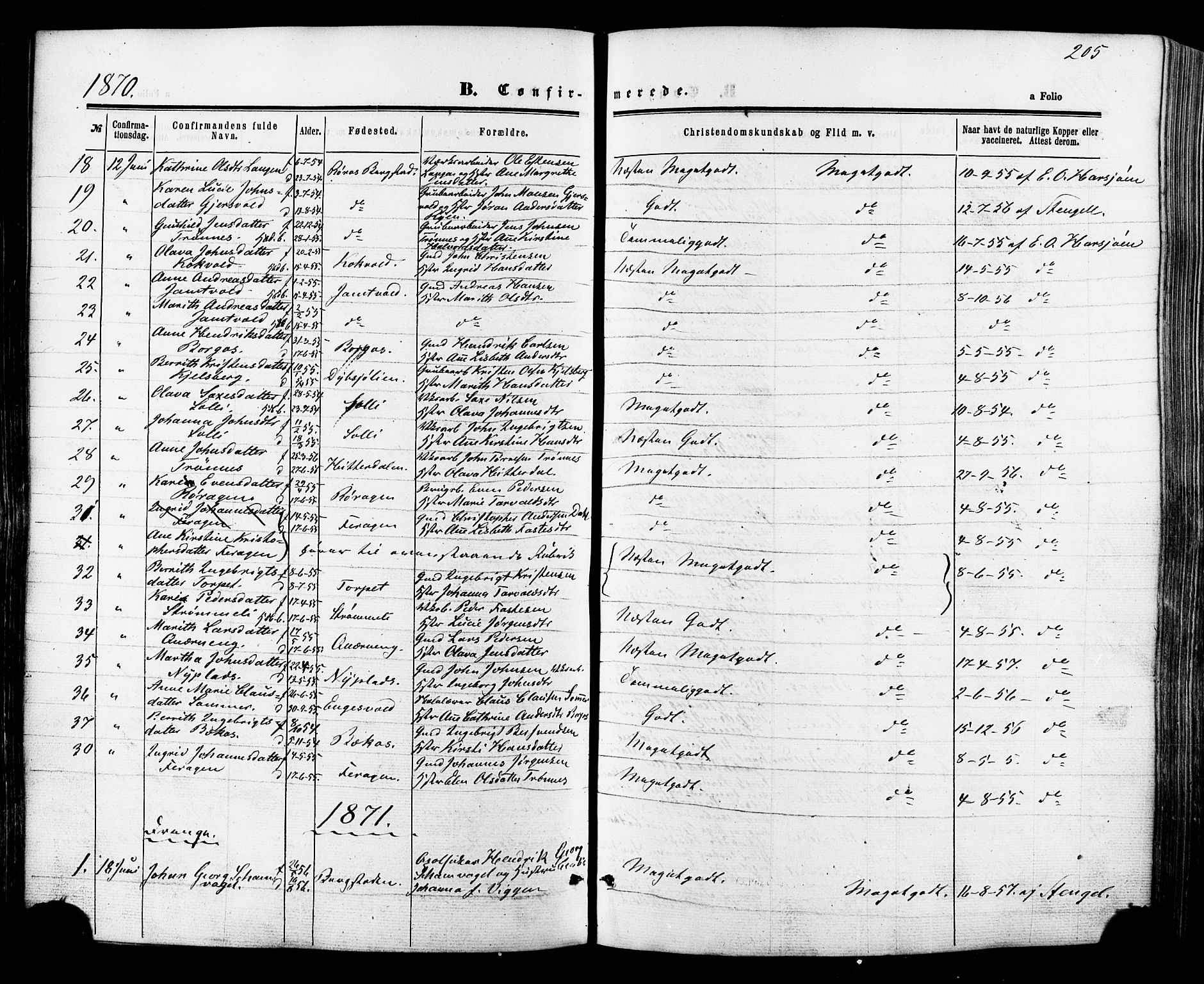 Ministerialprotokoller, klokkerbøker og fødselsregistre - Sør-Trøndelag, SAT/A-1456/681/L0932: Parish register (official) no. 681A10, 1860-1878, p. 205