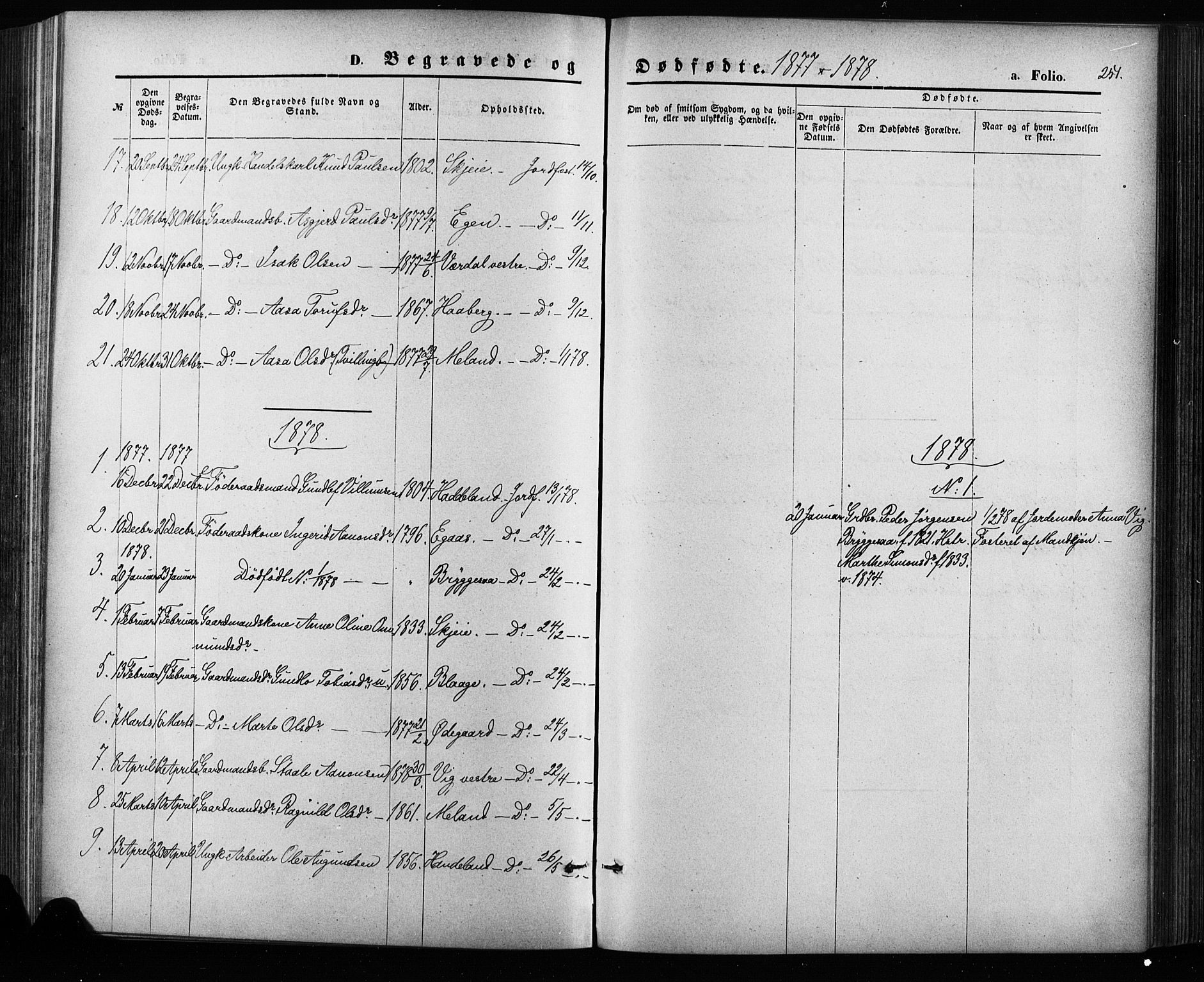 Hægebostad sokneprestkontor, SAK/1111-0024/F/Fa/Fab/L0003: Parish register (official) no. A 3, 1872-1886, p. 251