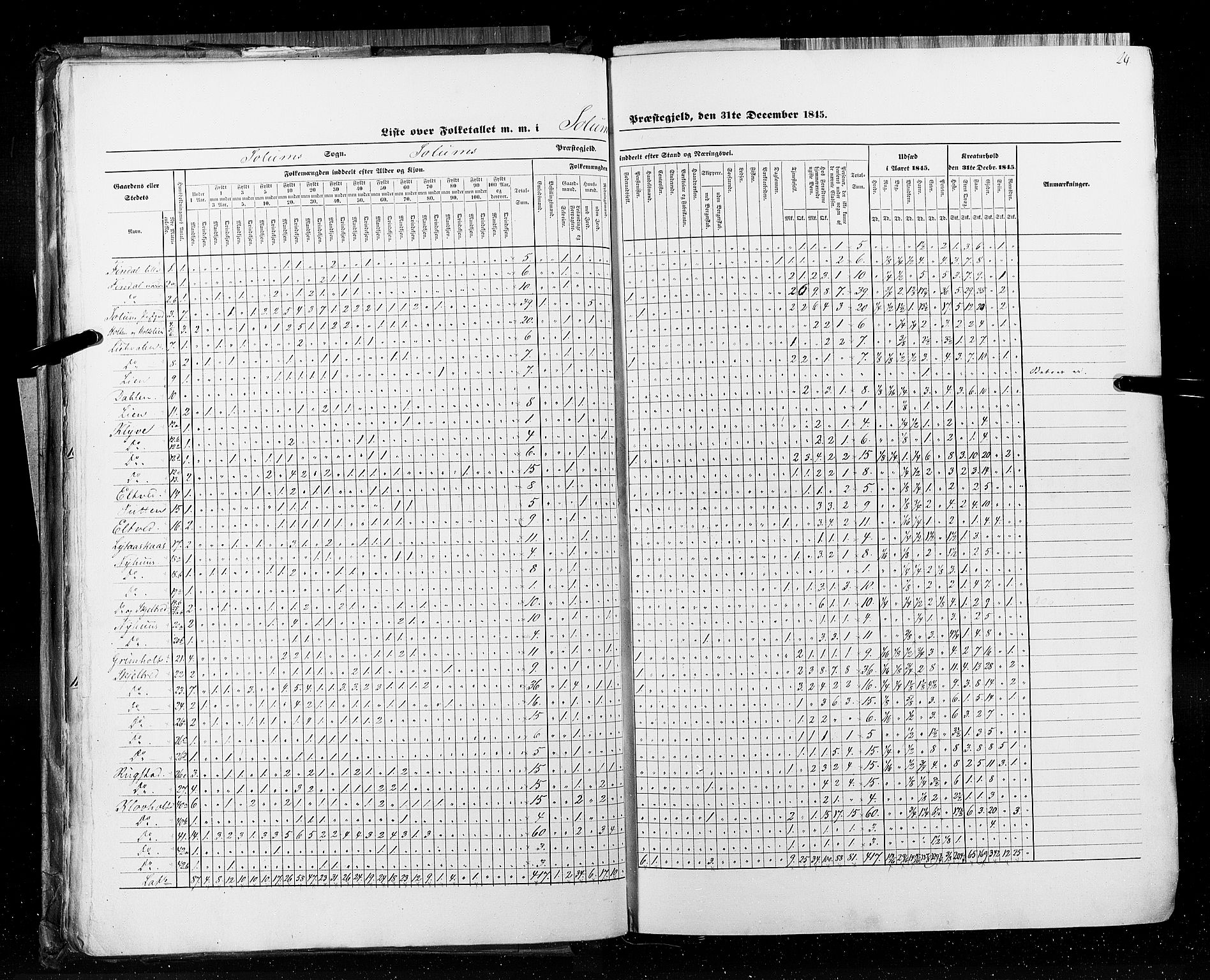 RA, Census 1845, vol. 5: Bratsberg amt og Nedenes og Råbyggelaget amt, 1845, p. 24