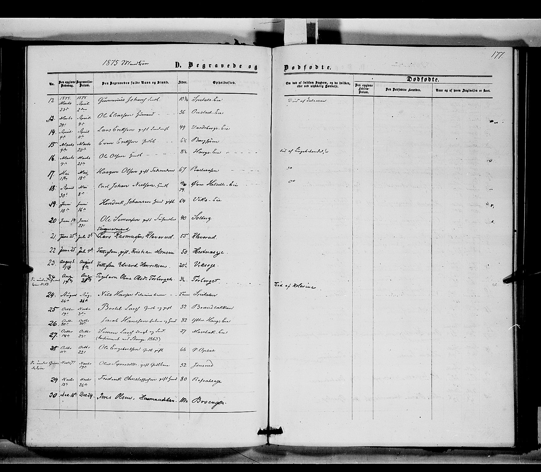 Stange prestekontor, SAH/PREST-002/K/L0014: Parish register (official) no. 14, 1862-1879, p. 177