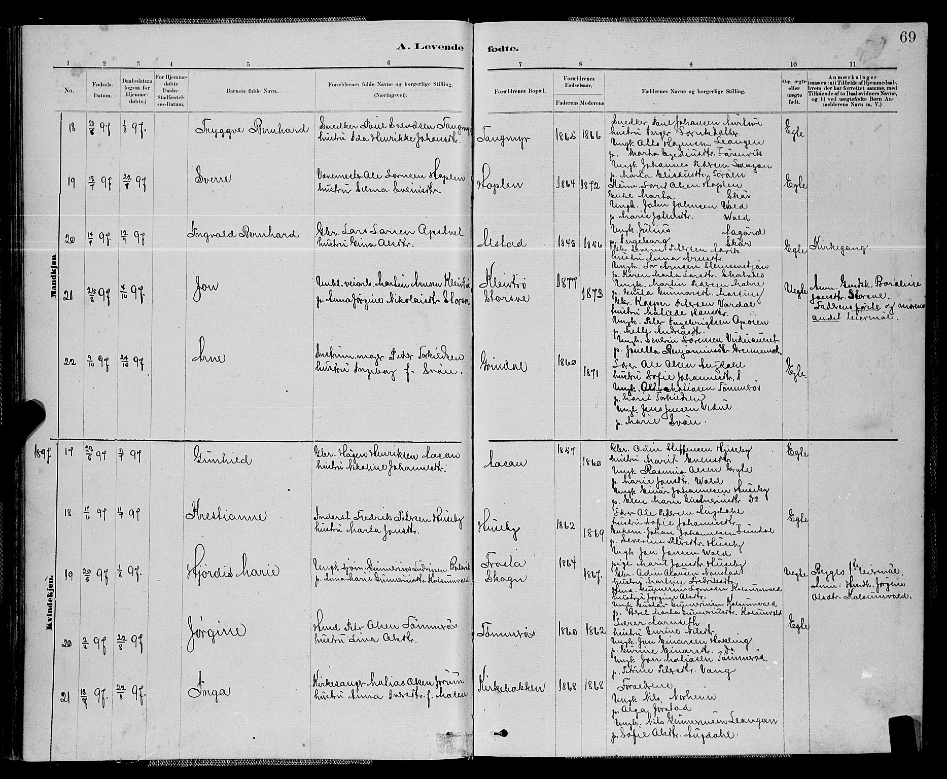 Ministerialprotokoller, klokkerbøker og fødselsregistre - Nord-Trøndelag, AV/SAT-A-1458/714/L0134: Parish register (copy) no. 714C03, 1878-1898, p. 69