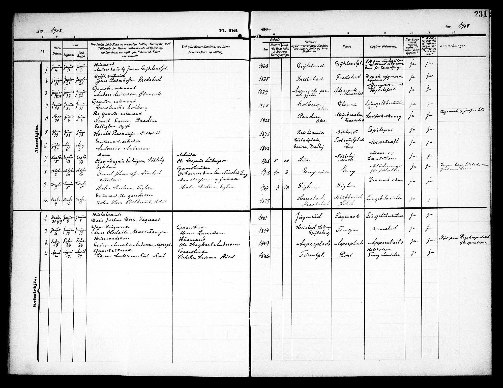 Kråkstad prestekontor Kirkebøker, AV/SAO-A-10125a/G/Ga/L0002: Parish register (copy) no. I 2, 1905-1934, p. 231