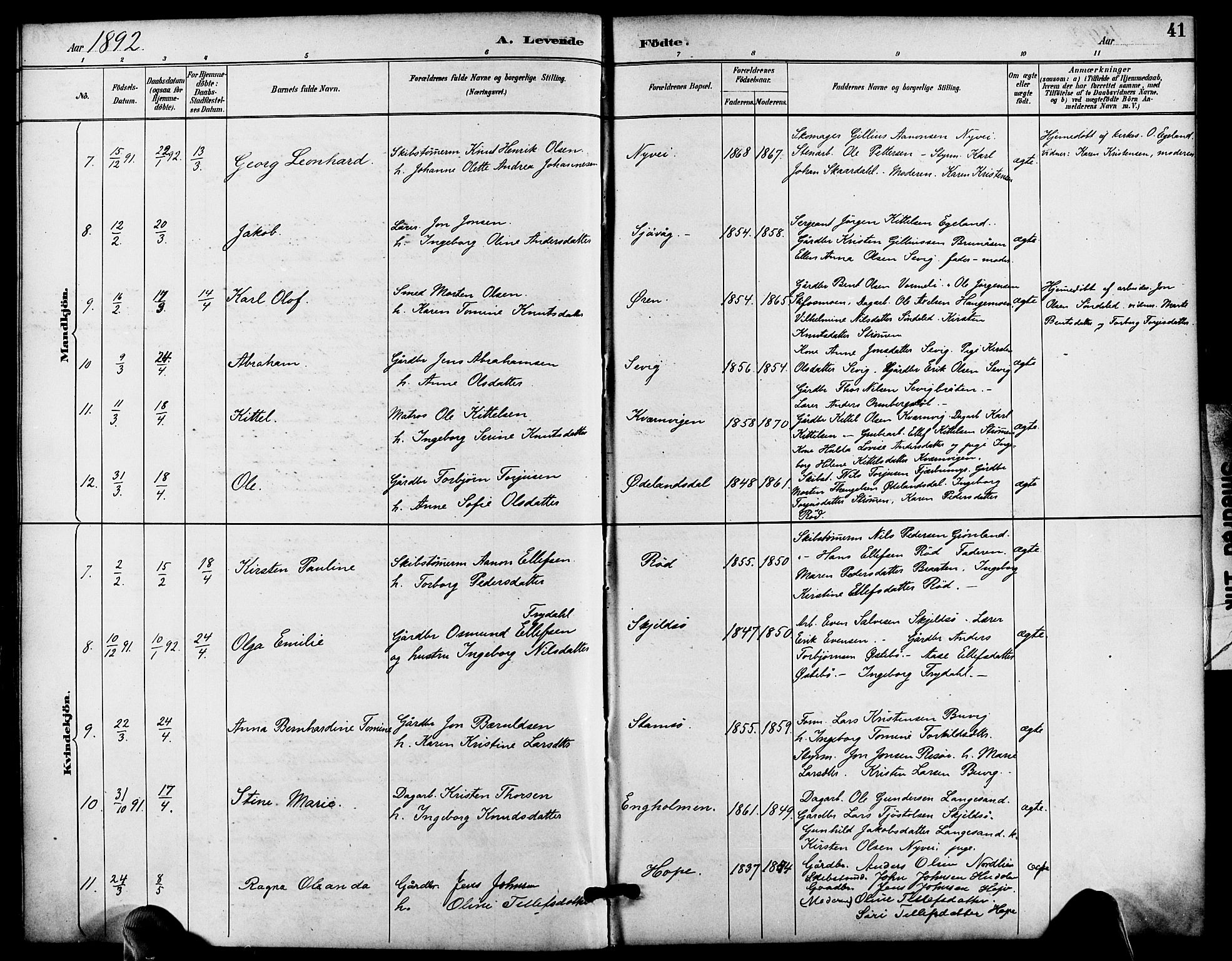 Søndeled sokneprestkontor, AV/SAK-1111-0038/F/Fa/L0005: Parish register (official) no. A 5, 1889-1899, p. 41