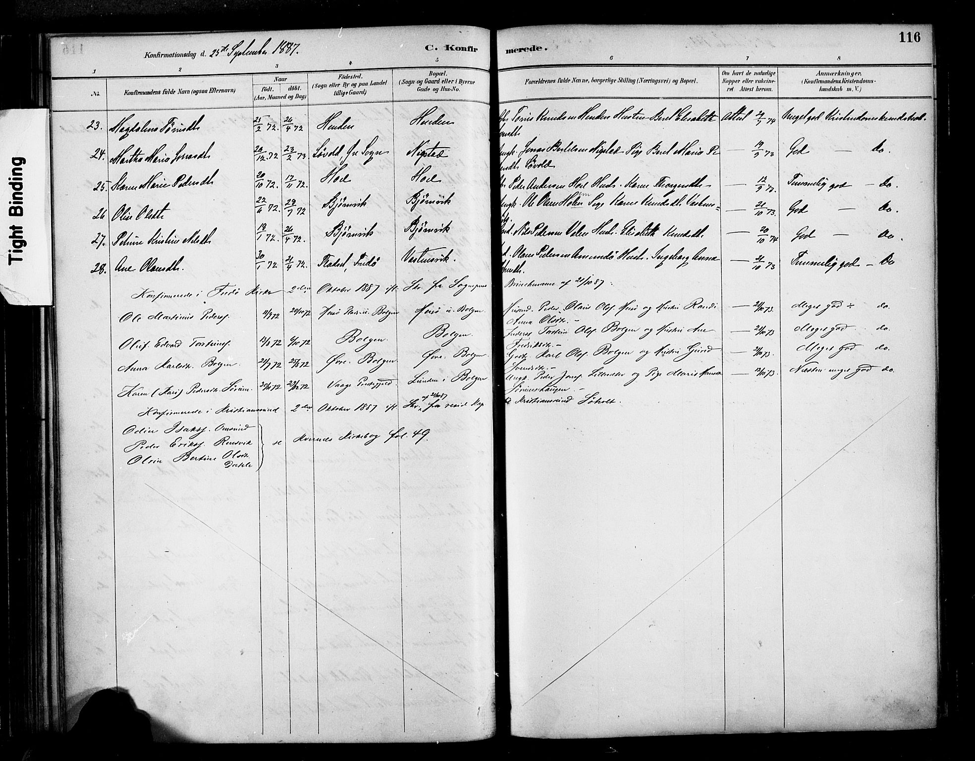 Ministerialprotokoller, klokkerbøker og fødselsregistre - Møre og Romsdal, AV/SAT-A-1454/569/L0819: Parish register (official) no. 569A05, 1885-1899, p. 116