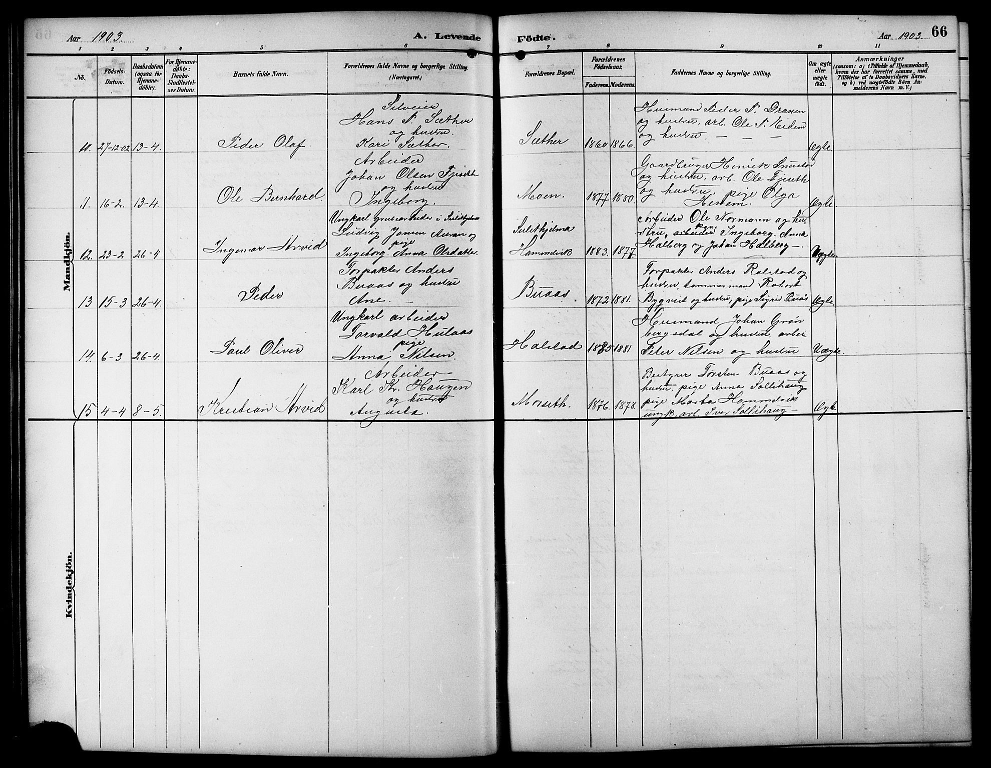 Ministerialprotokoller, klokkerbøker og fødselsregistre - Sør-Trøndelag, AV/SAT-A-1456/617/L0431: Parish register (copy) no. 617C01, 1889-1910, p. 66