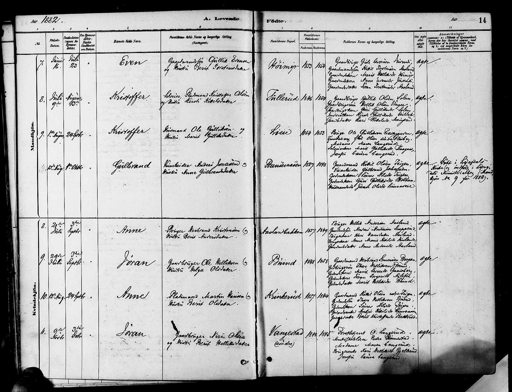 Flesberg kirkebøker, AV/SAKO-A-18/F/Fa/L0008: Parish register (official) no. I 8, 1879-1899, p. 14