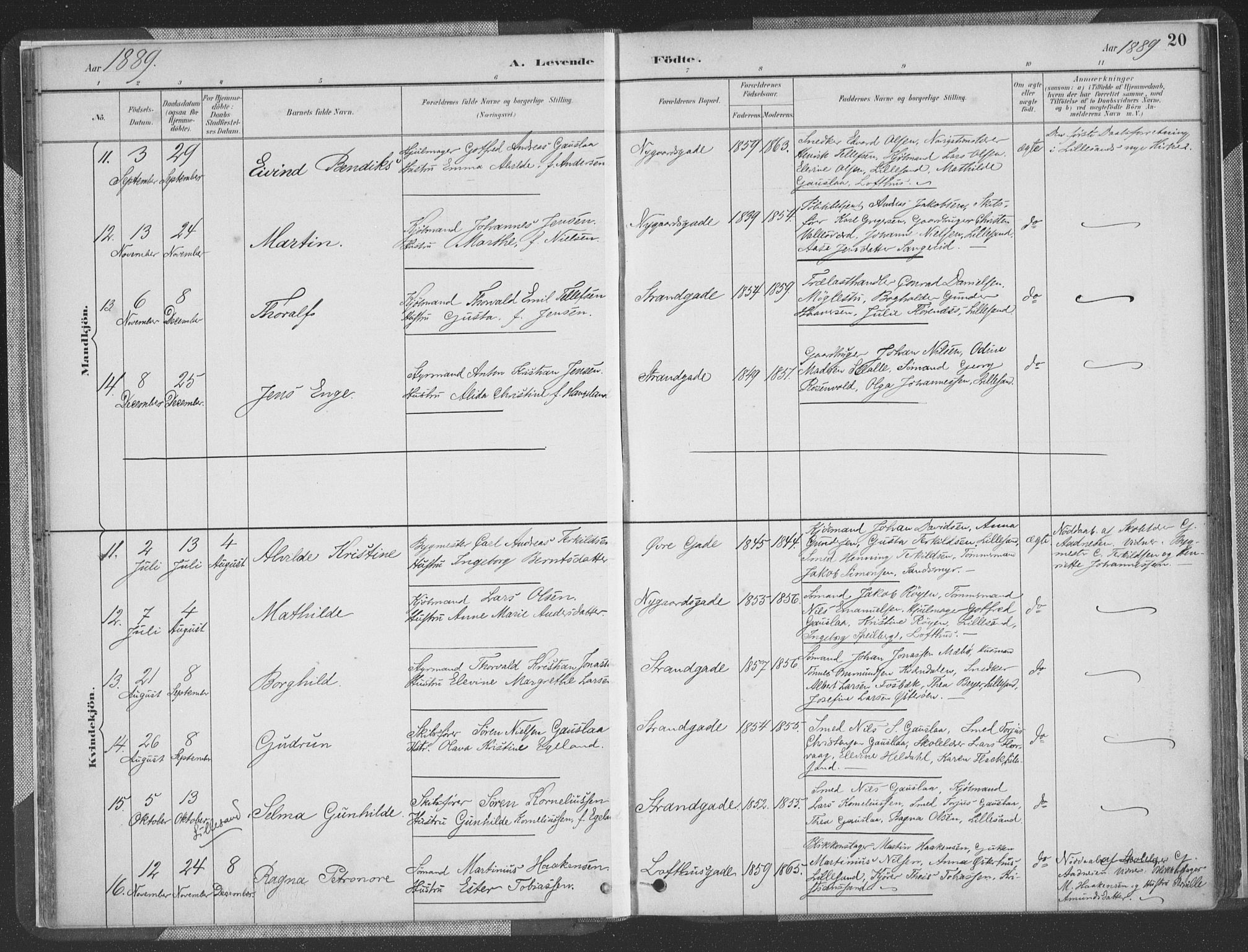 Vestre Moland sokneprestkontor, AV/SAK-1111-0046/F/Fa/Faa/L0001: Parish register (official) no. A 1, 1884-1899, p. 21