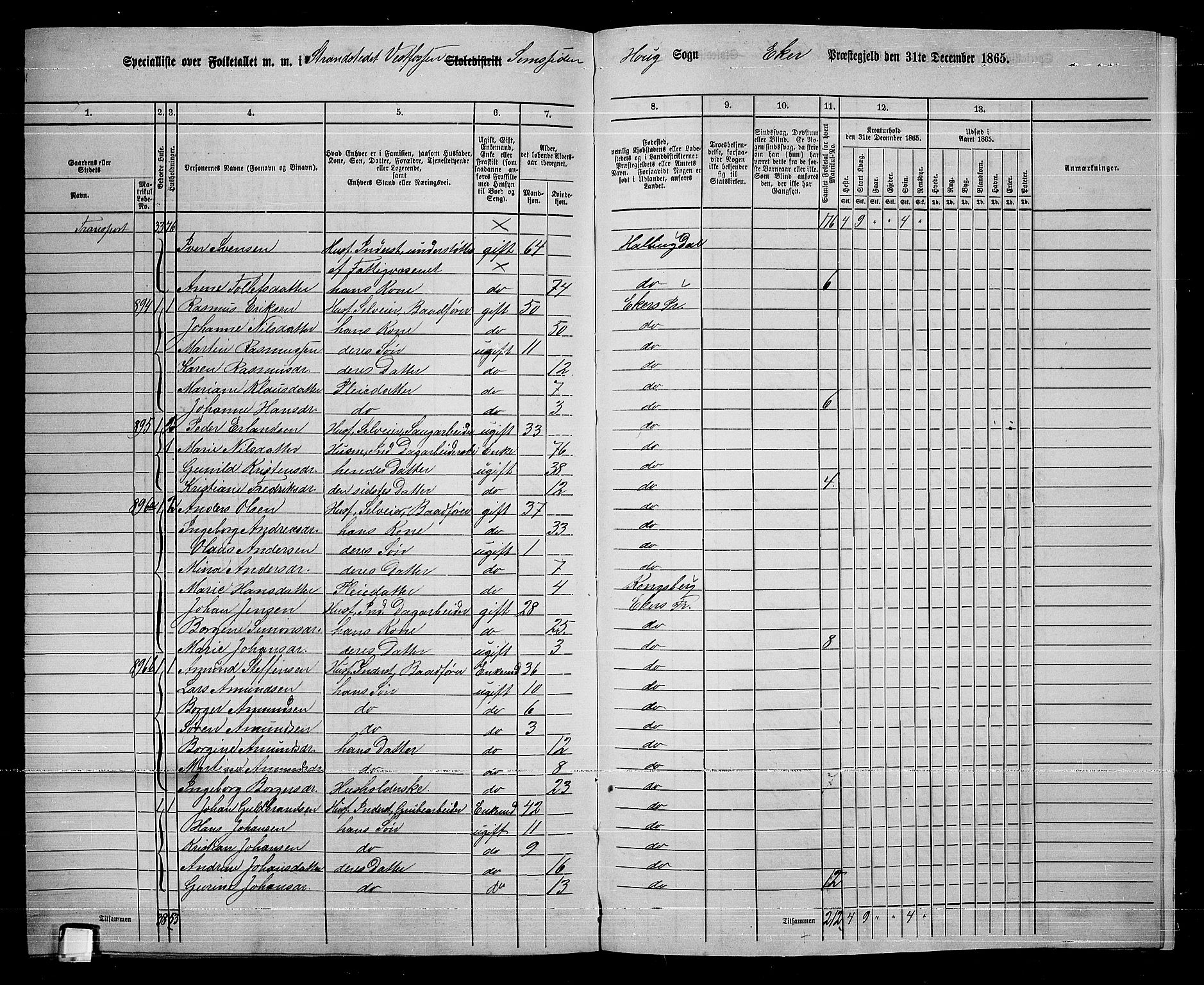 RA, 1865 census for Eiker, 1865, p. 260