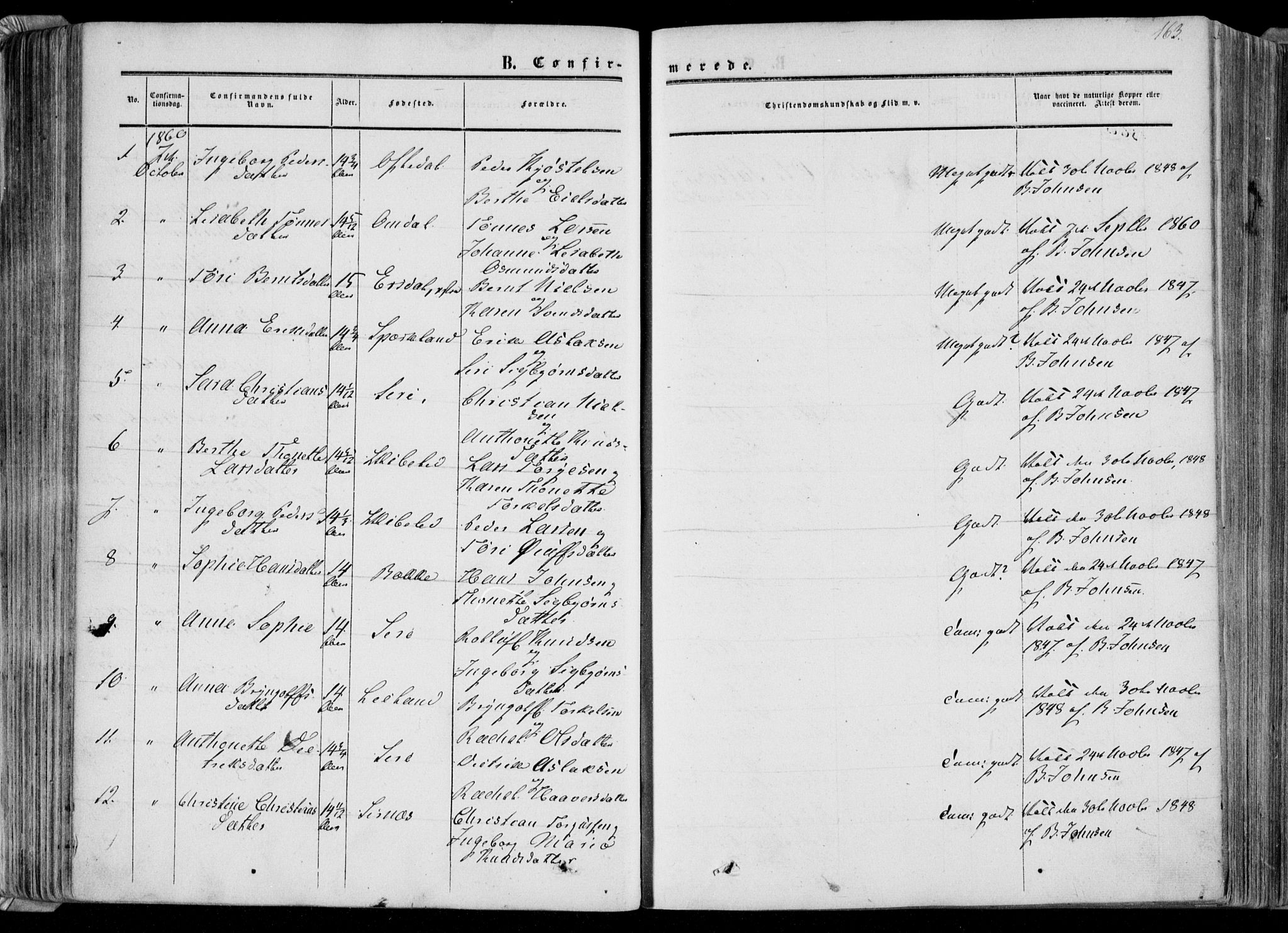 Bakke sokneprestkontor, AV/SAK-1111-0002/F/Fa/Faa/L0006: Parish register (official) no. A 6, 1855-1877, p. 163