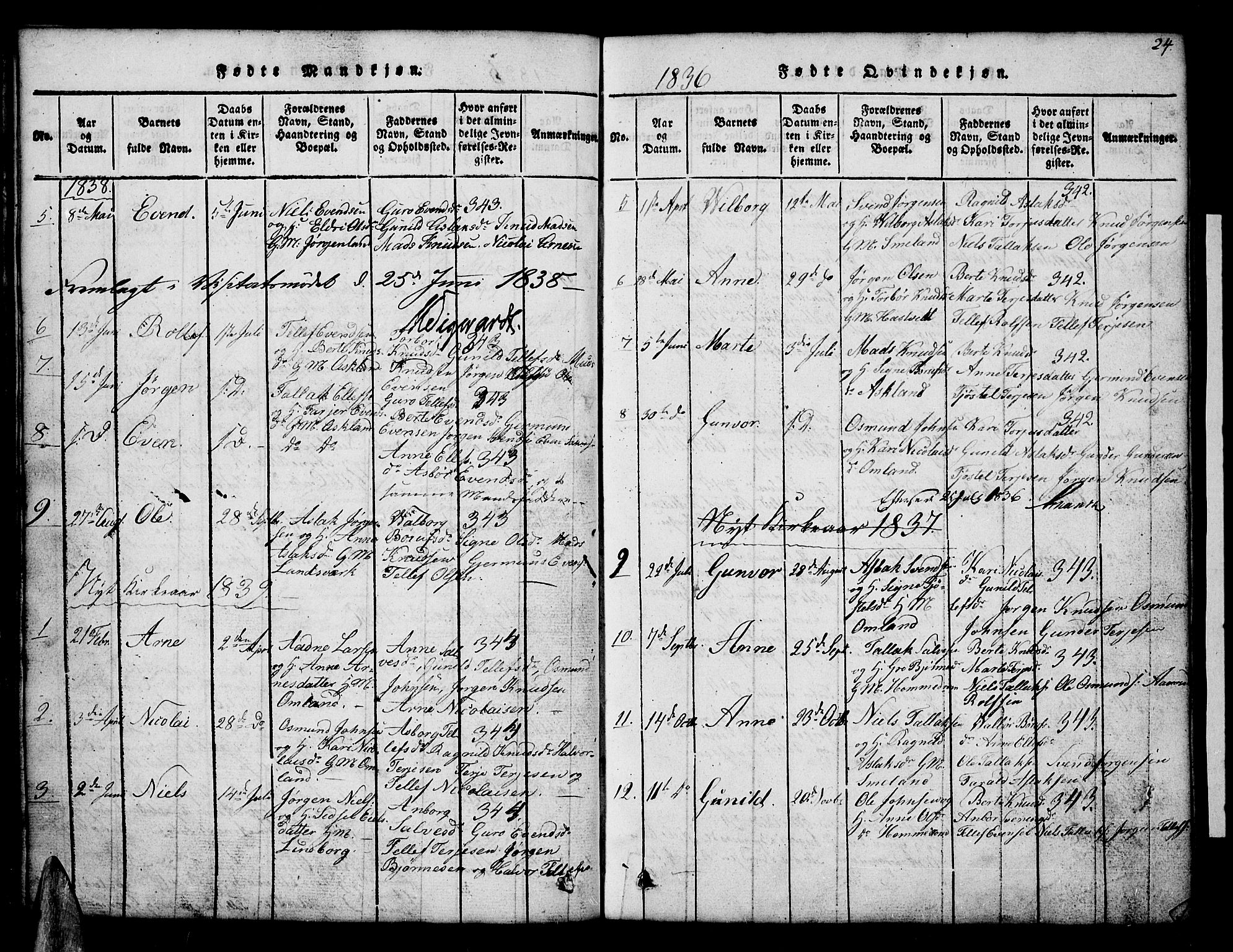 Åmli sokneprestkontor, AV/SAK-1111-0050/F/Fb/Fba/L0001: Parish register (copy) no. B 1, 1816-1890, p. 24