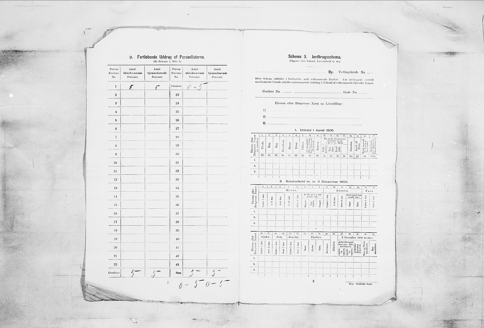 SAKO, 1900 census for Skien, 1900, p. 1429